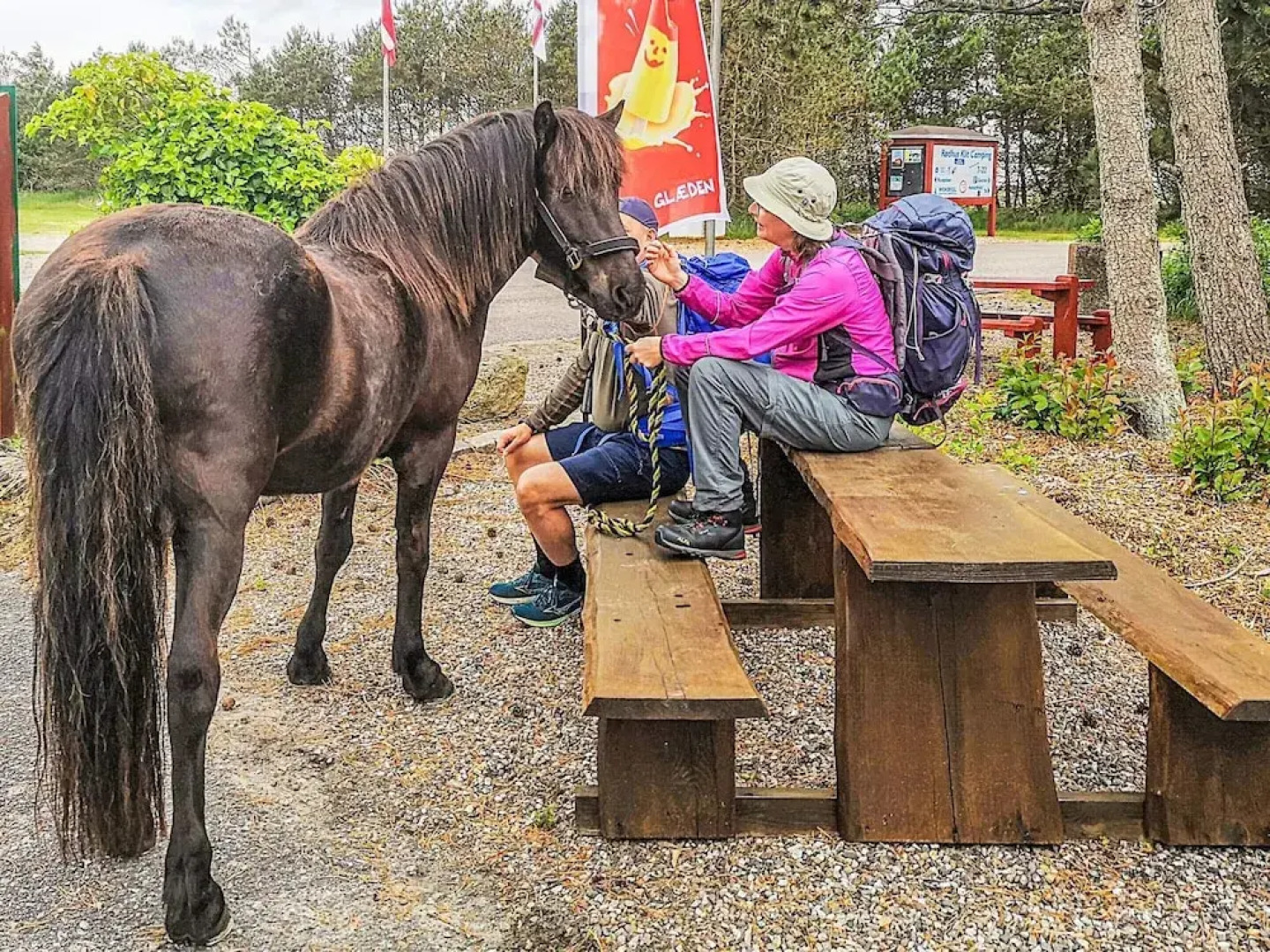 6 Person Holiday Park Home in Pandrup