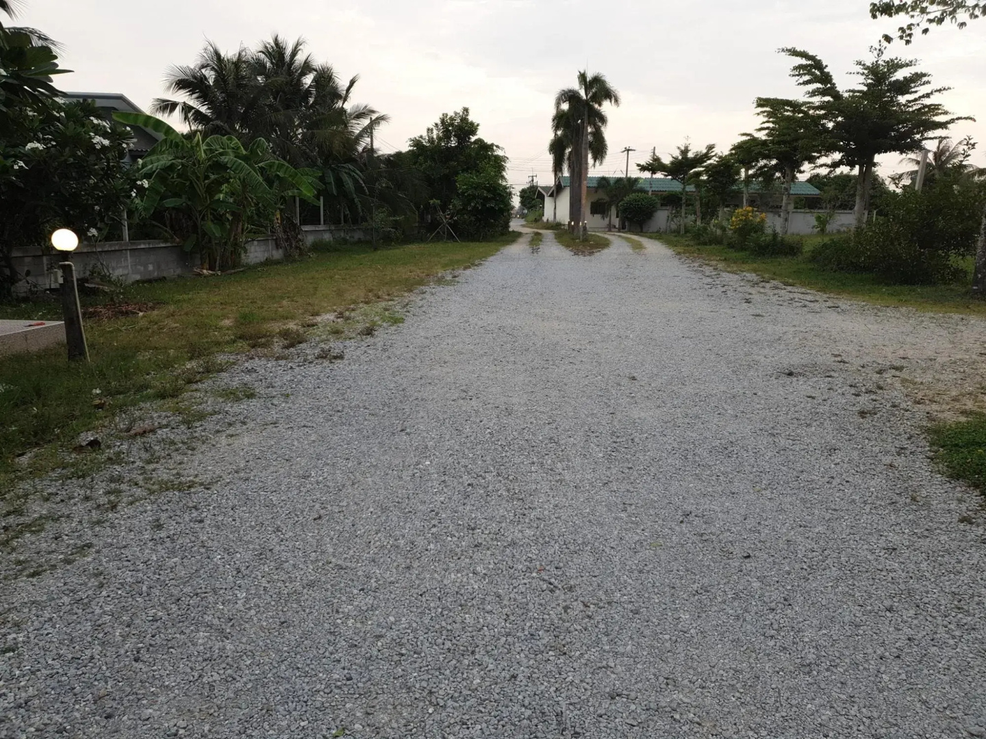 Narasiri