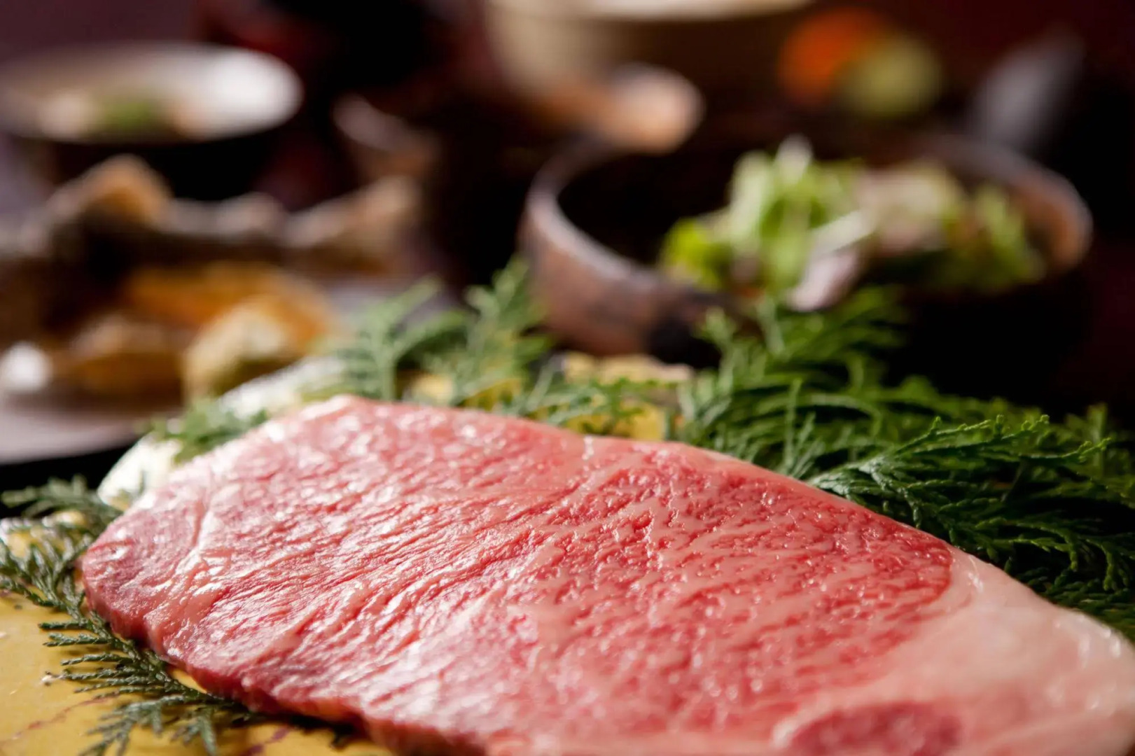 Shukubo Kawaseminoshou - The Kingfisher resort -