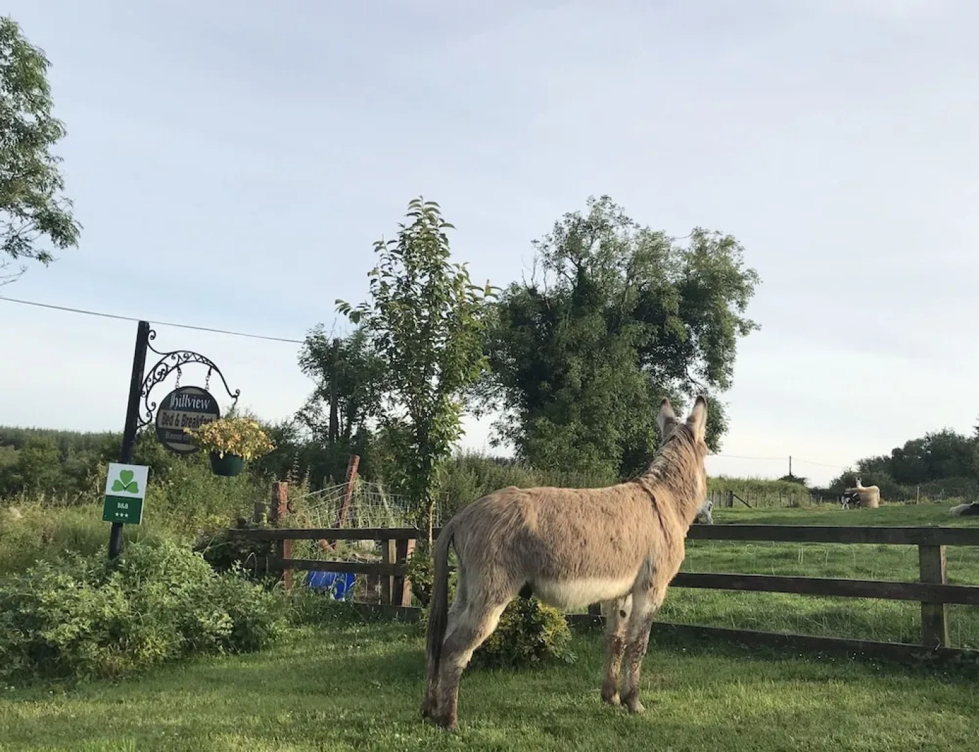 Hillview Farmhouse B&B