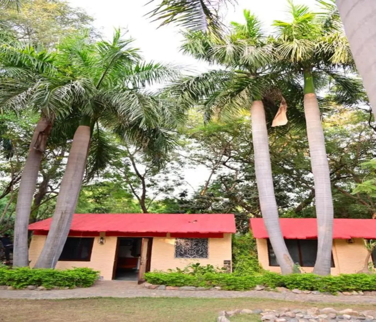 Leopard Lair Ananta Express