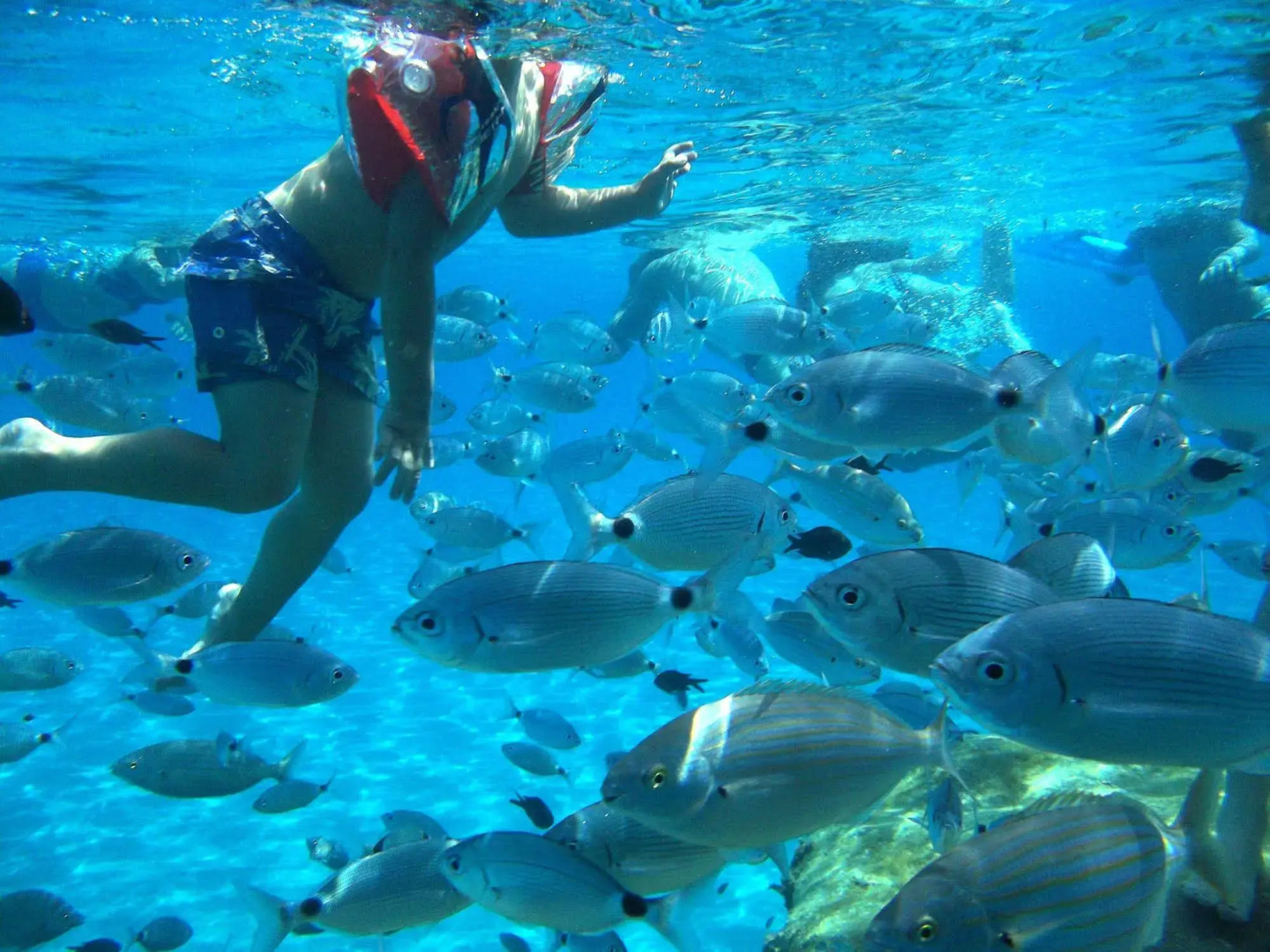 Residence la Chimera