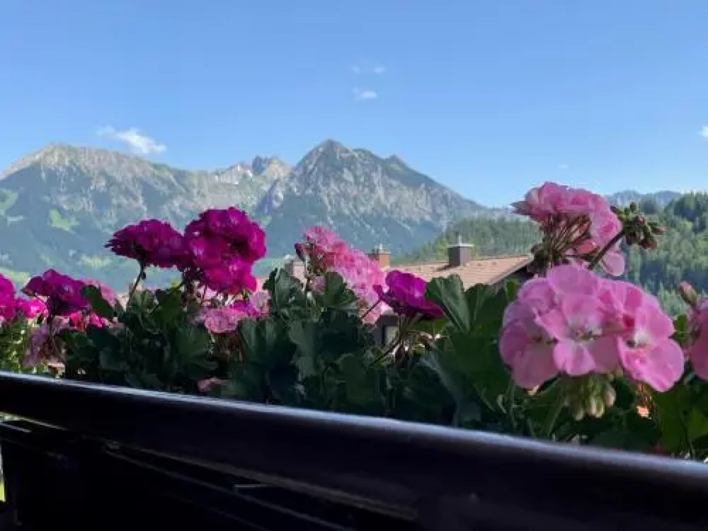 Ferienwohnungen Alpentraum - Alpentraum