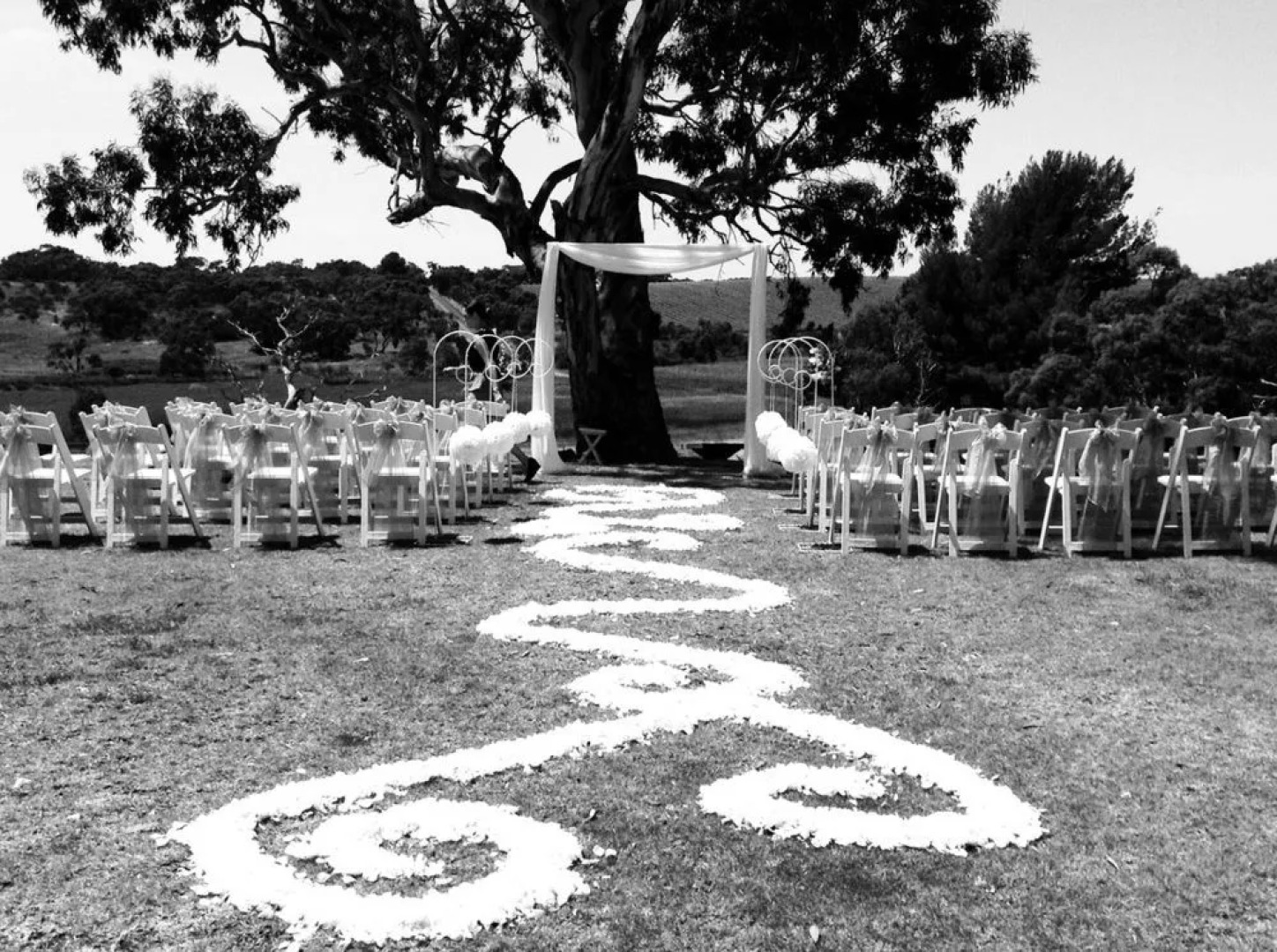 One Paddock Currency Creek Winery Villas