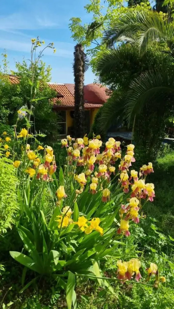 Home & Gardens 2-bed Villa in Sevasti, Katerini