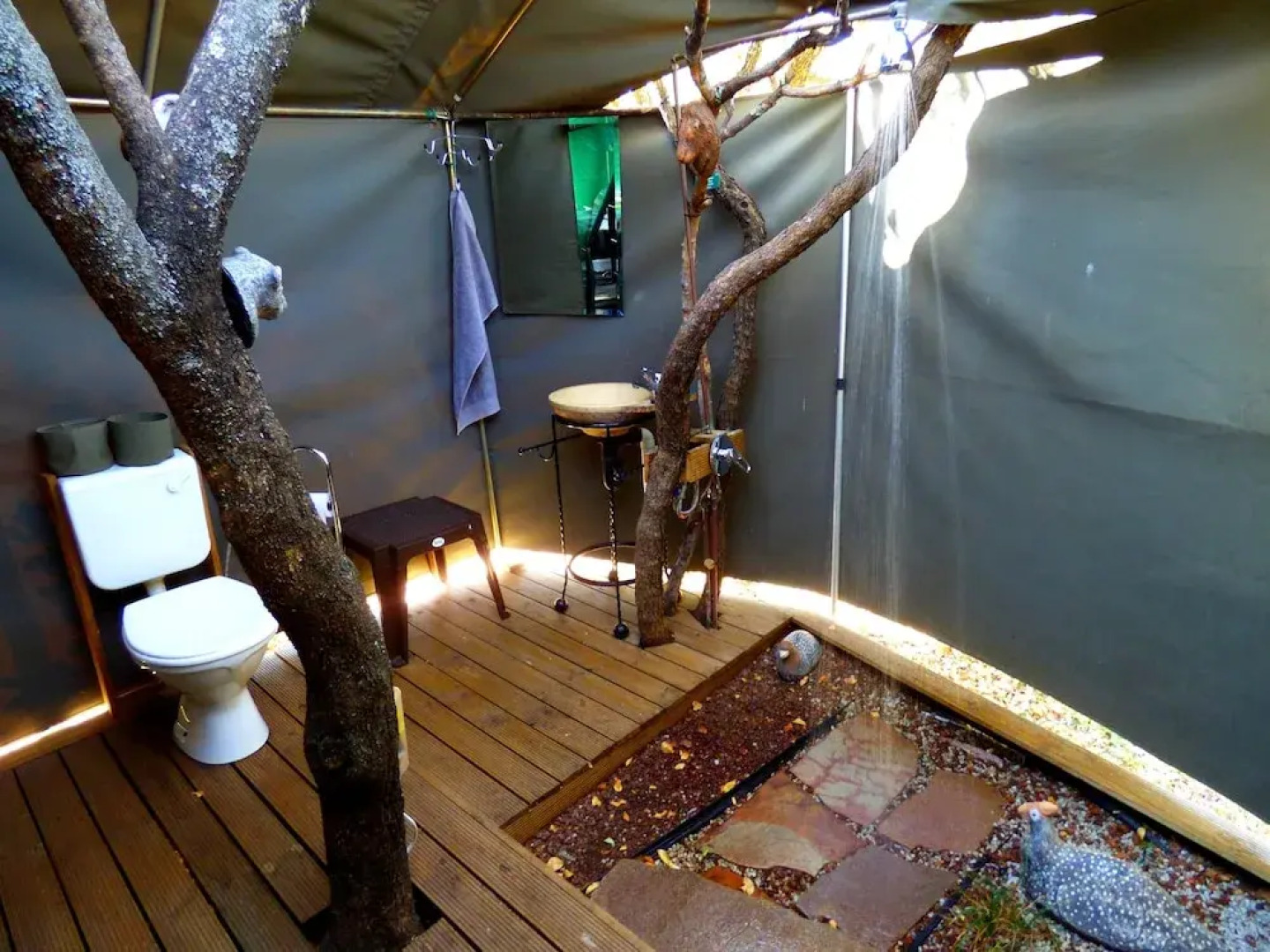 Thorn Tree Bush Camp