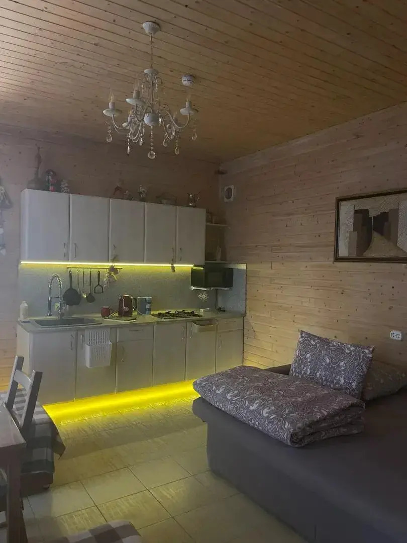 Ассоль на улице Лебедева