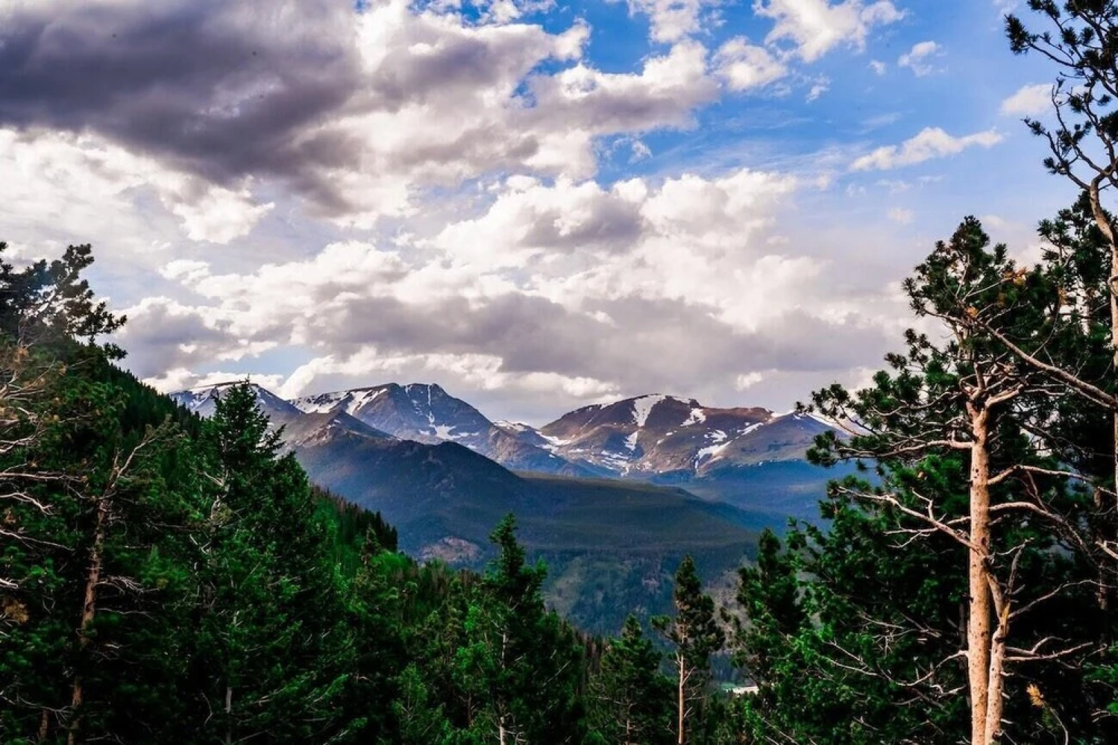 Llama-stay at Spooky Tooth Ranch – Mtn Views!!
