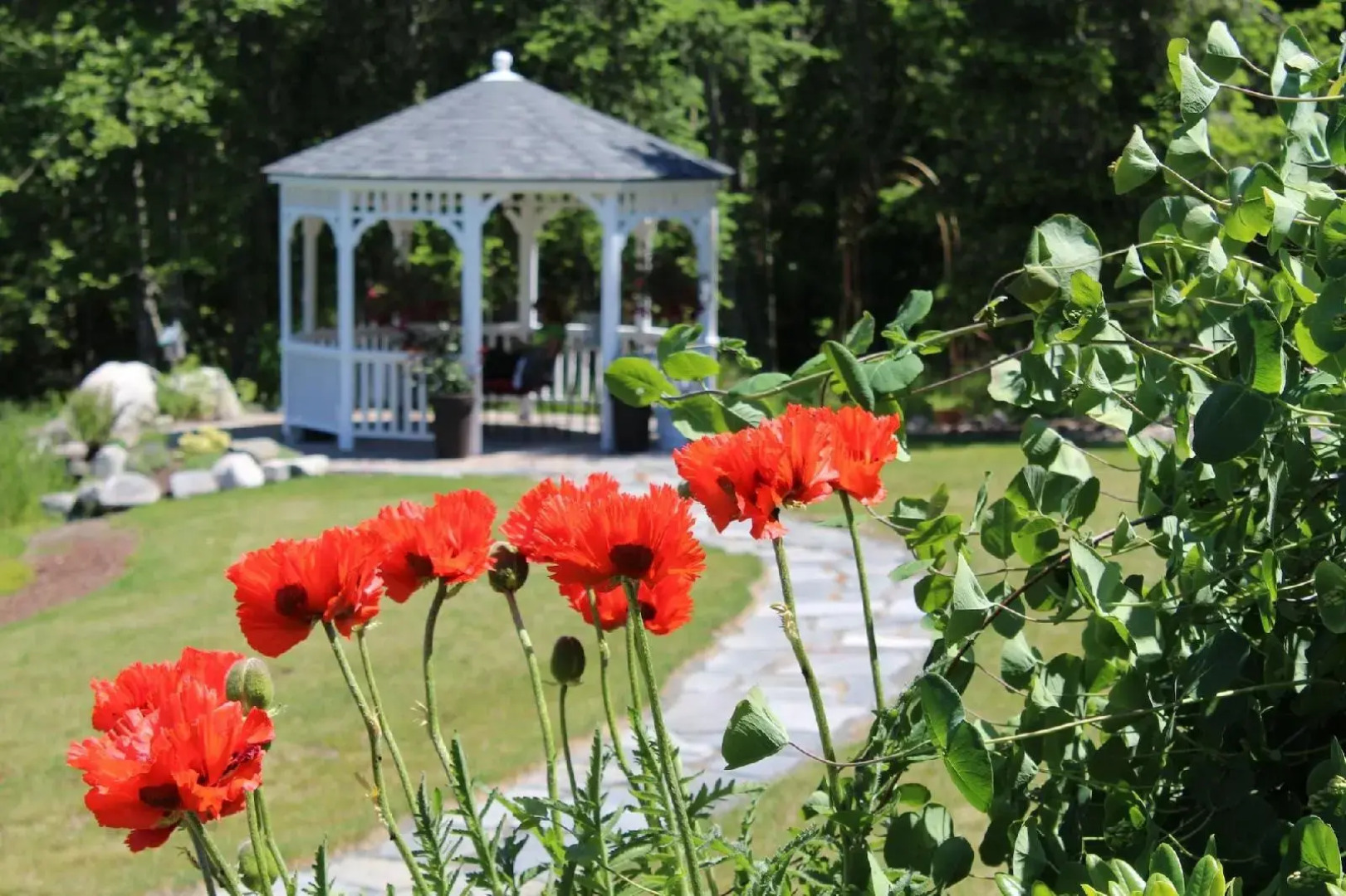 Ambiance Bed & Breakfast