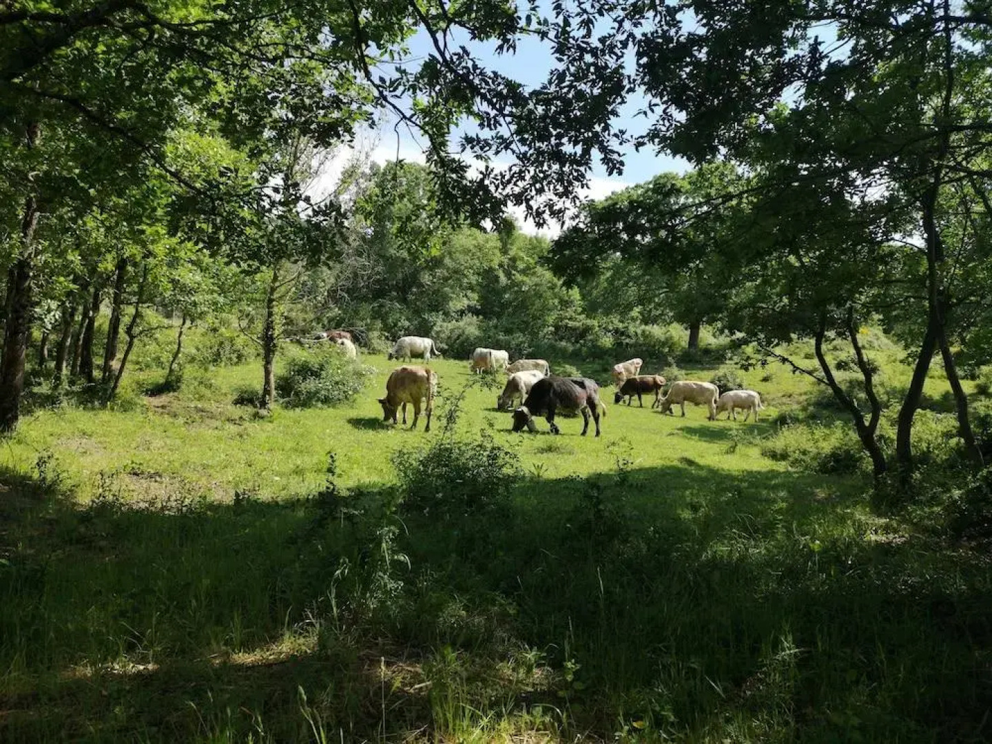 Agriturismo Terra Nostra