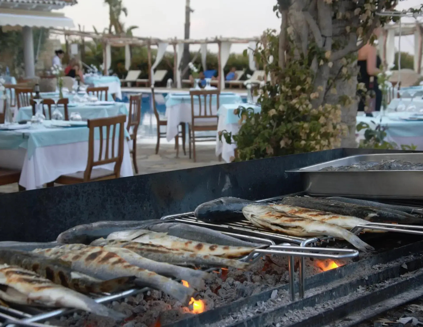 Felix Hotels - Galanias Hotel & Retreat