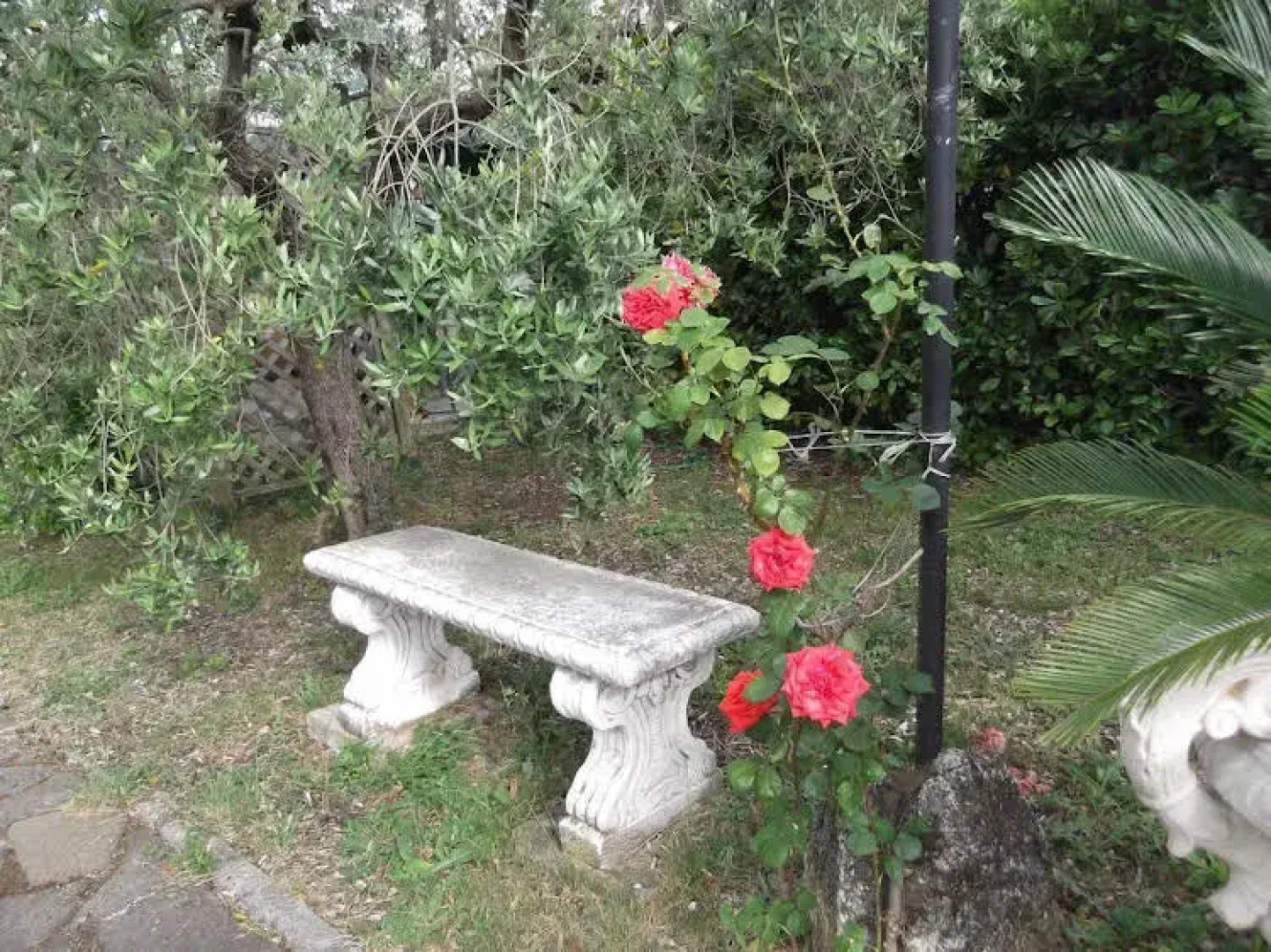 Villa Baiera