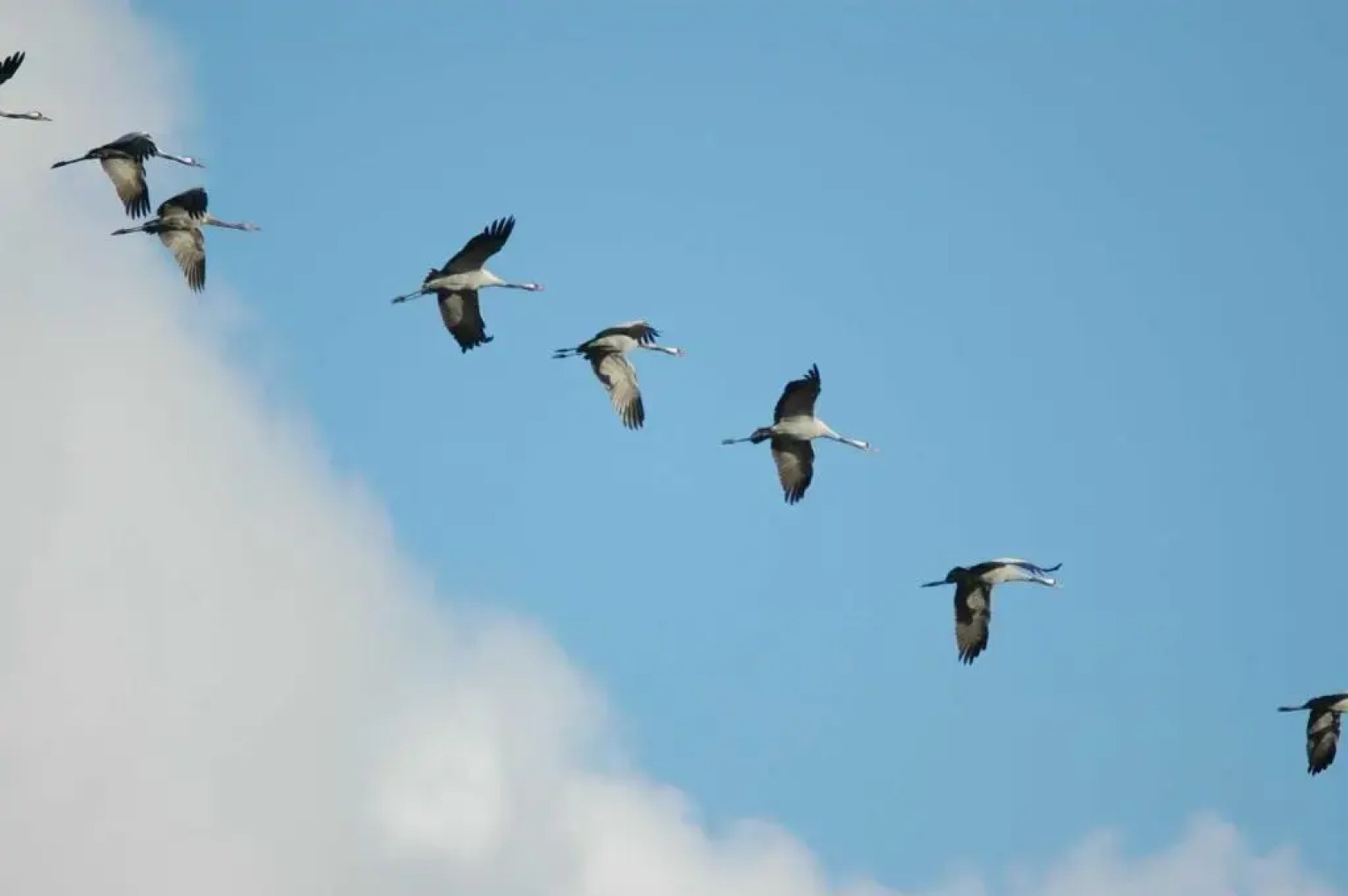 Blockhausferien Rügen - Meerblick