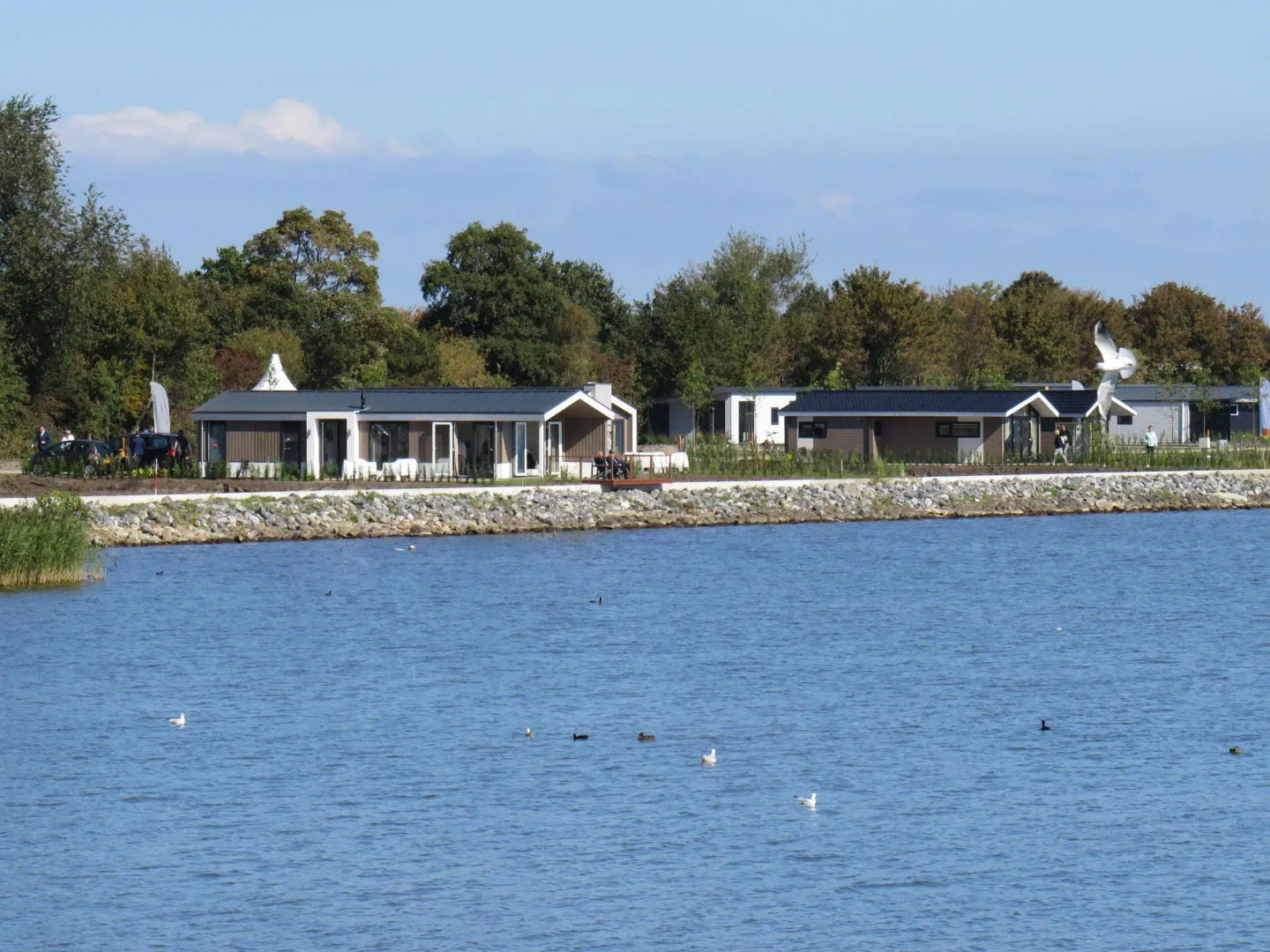 Lakeside Escape Near Enkhuizen