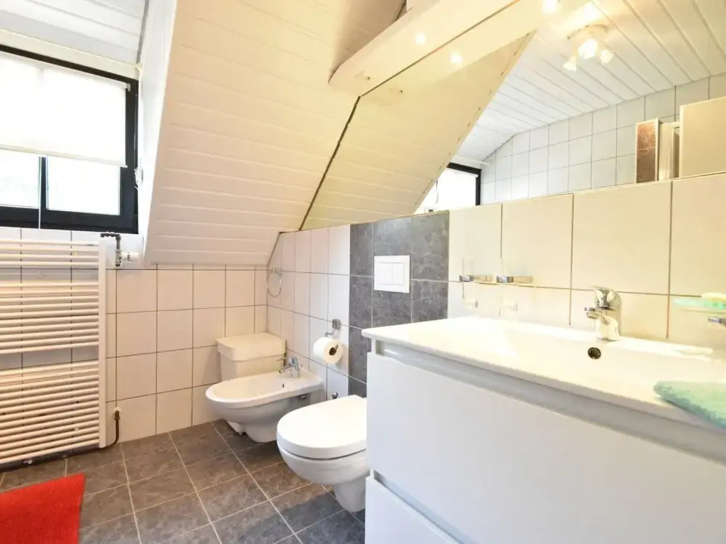 Spacious Mansion With Meadow View in Bruinisse