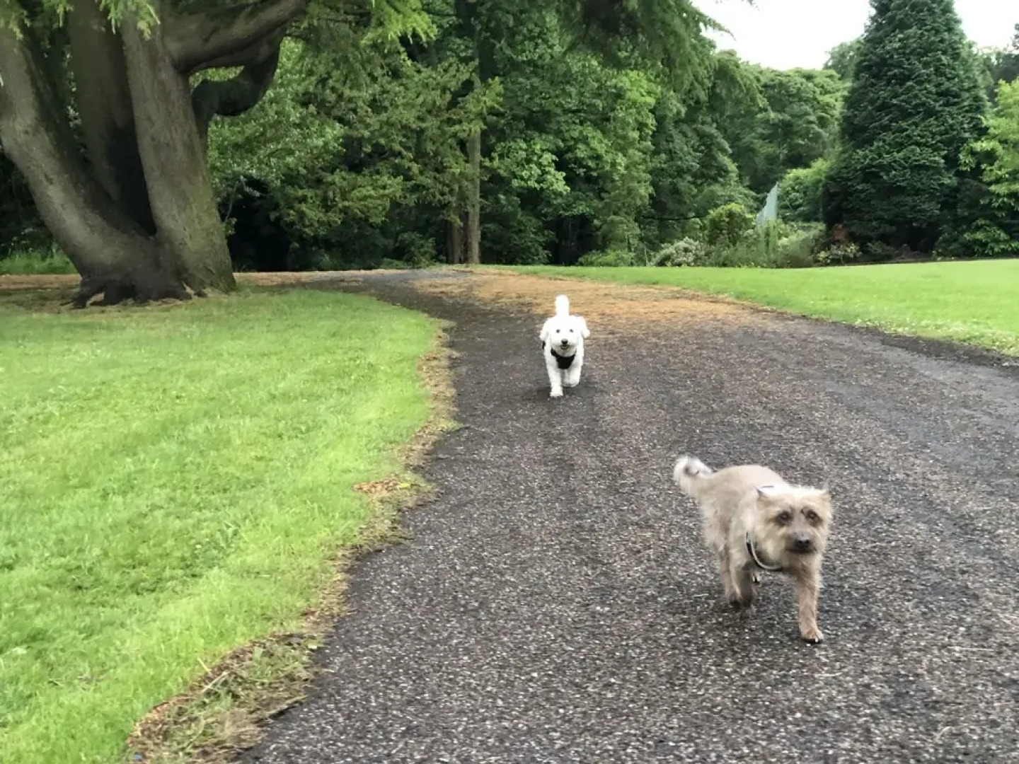 4-bed Detached, Pet Friendly House in Nelson