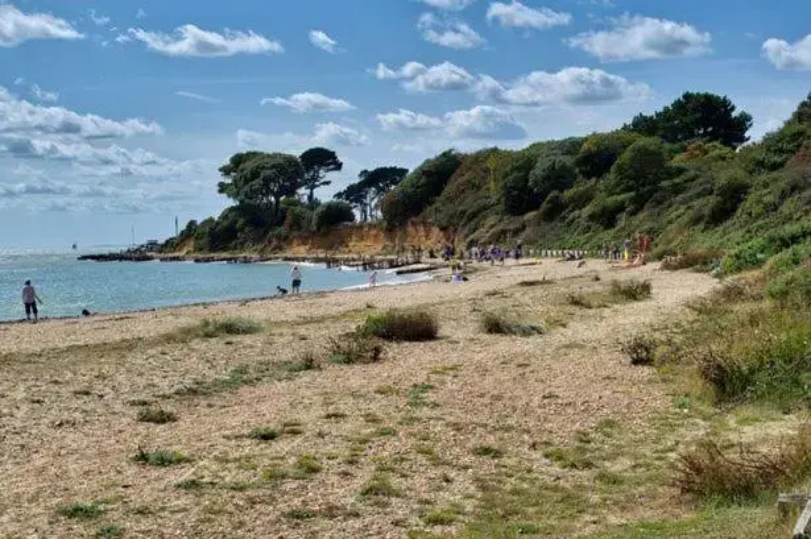 Elmside, The Luxury New Forest Retreat