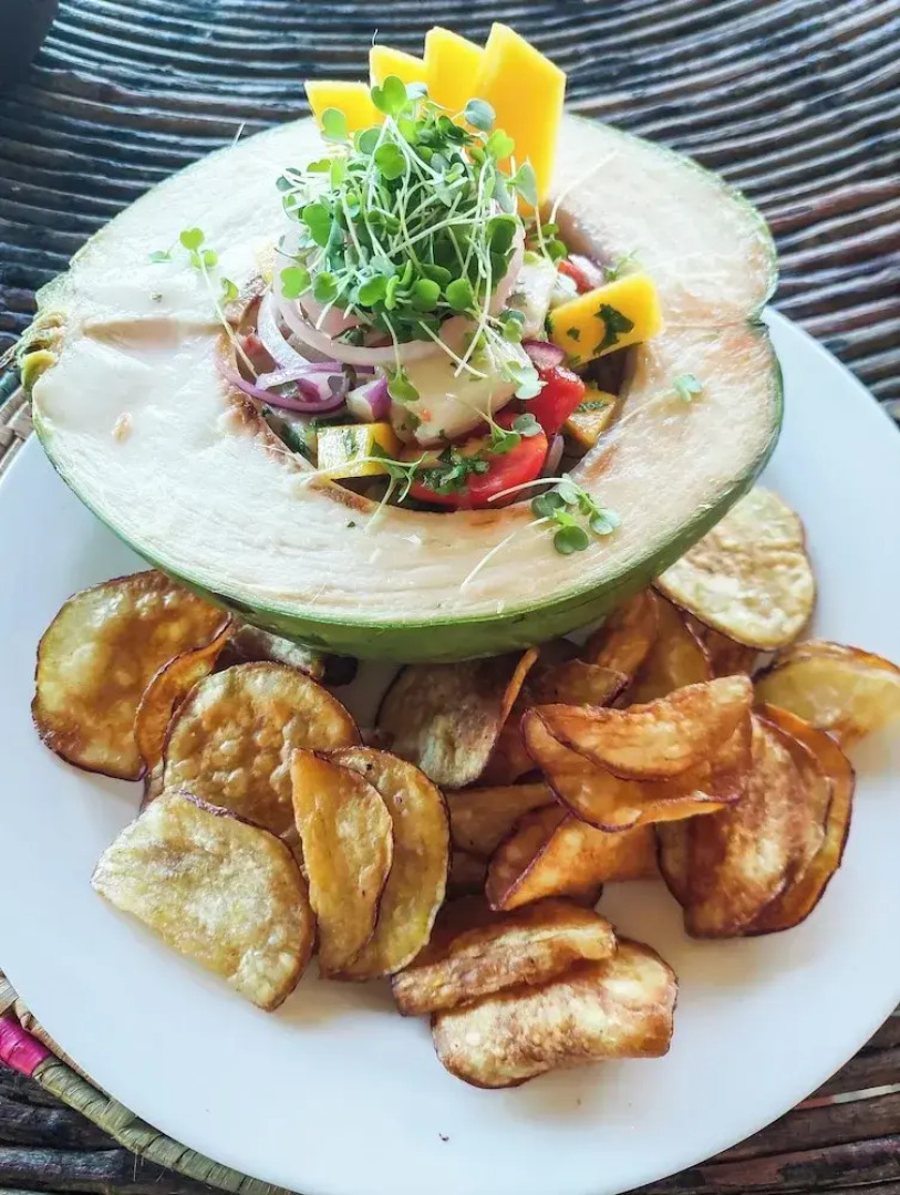 Paradise Suit Sal Premium