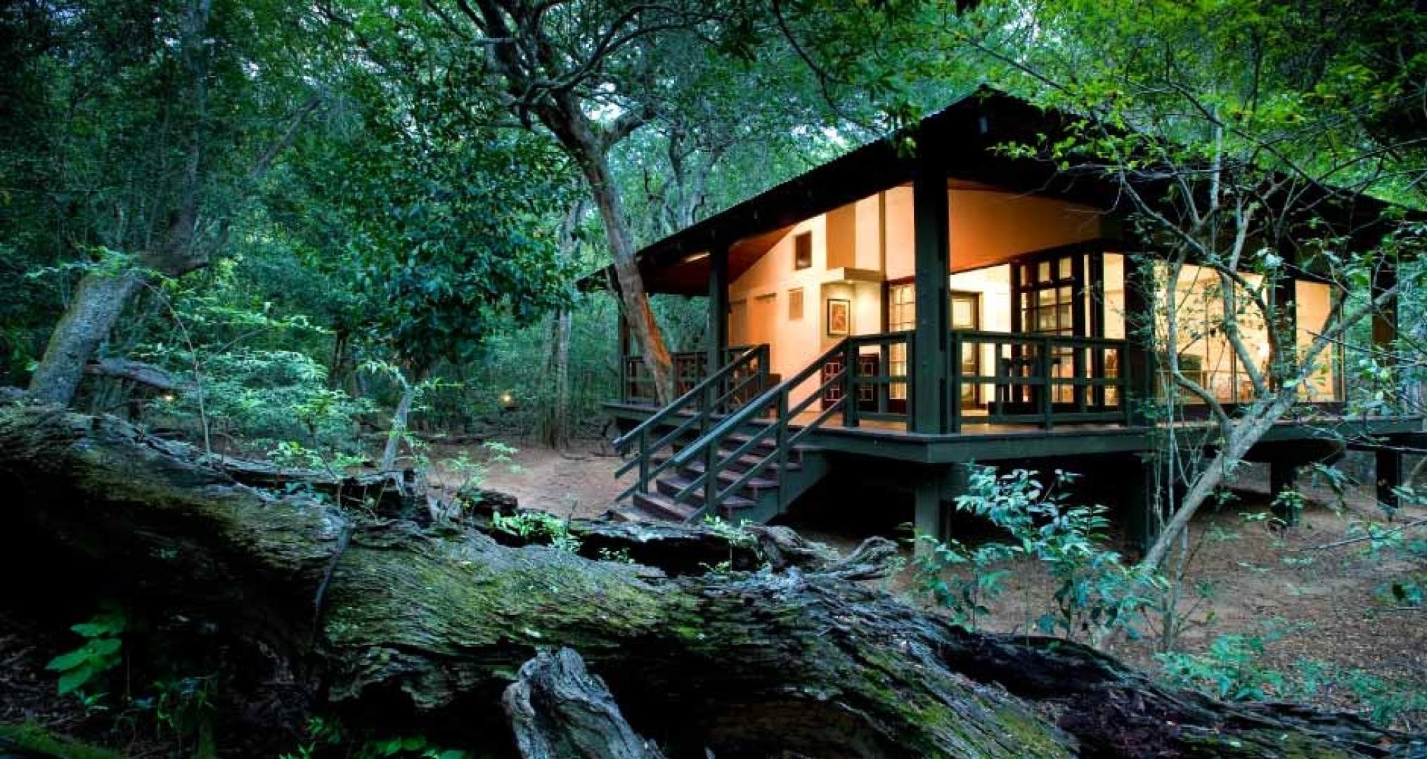 andBeyond Phinda Forest Lodge