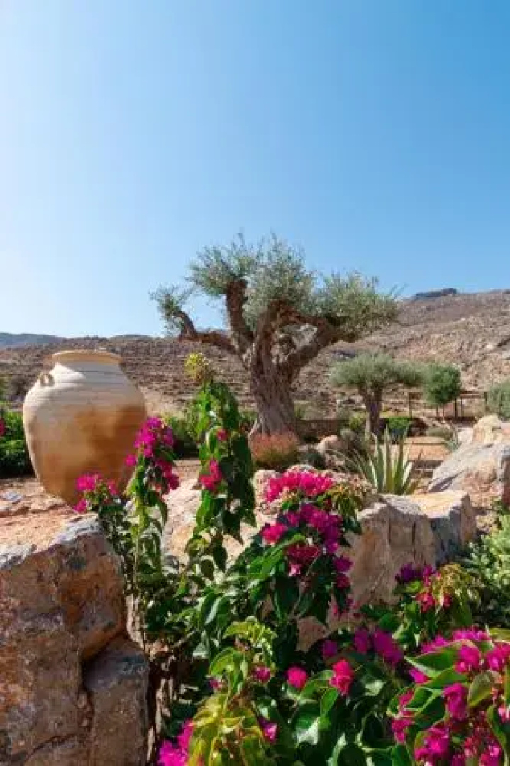 Yiannis Retreat