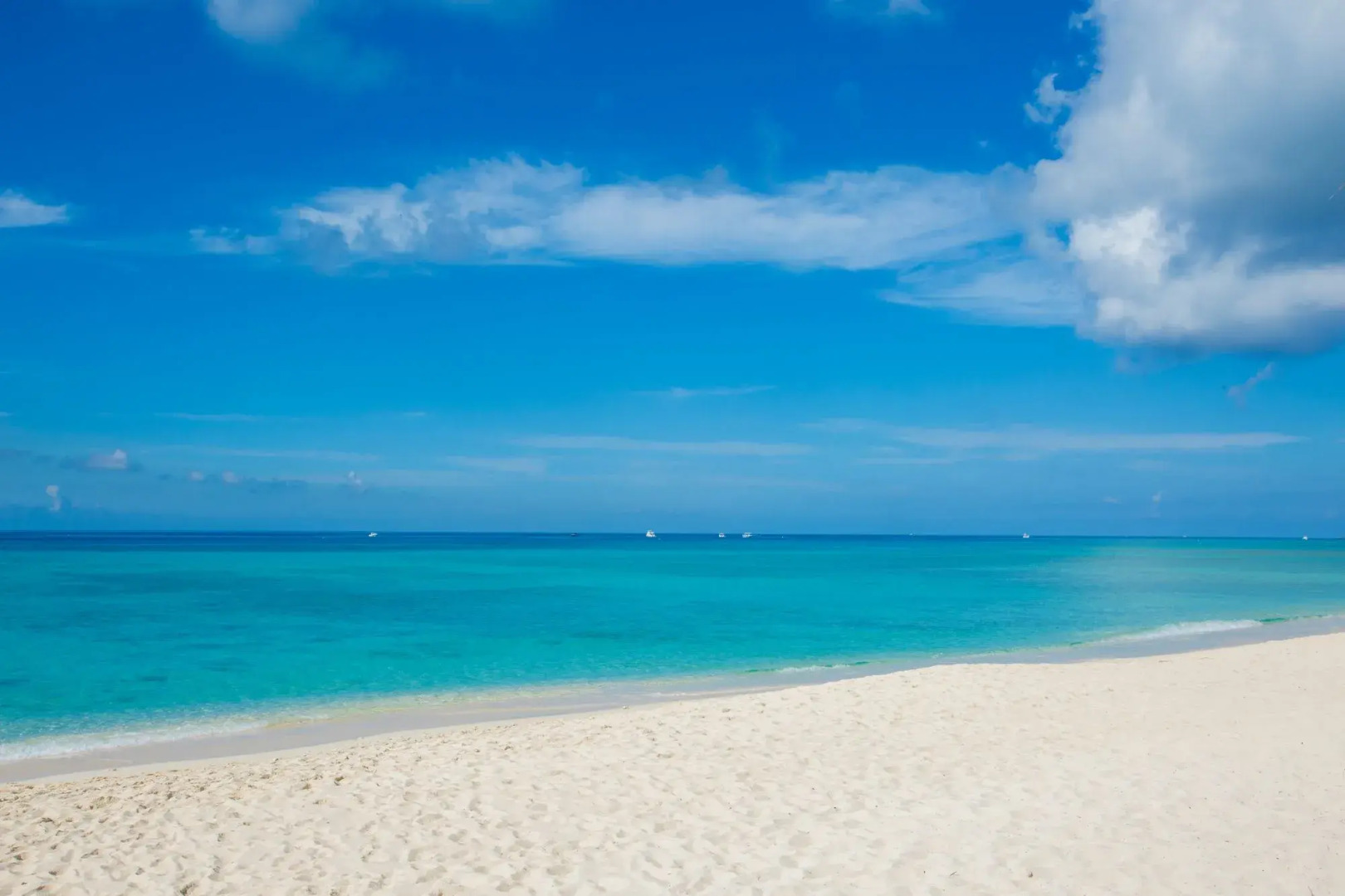 Aqua Bay Club Condos