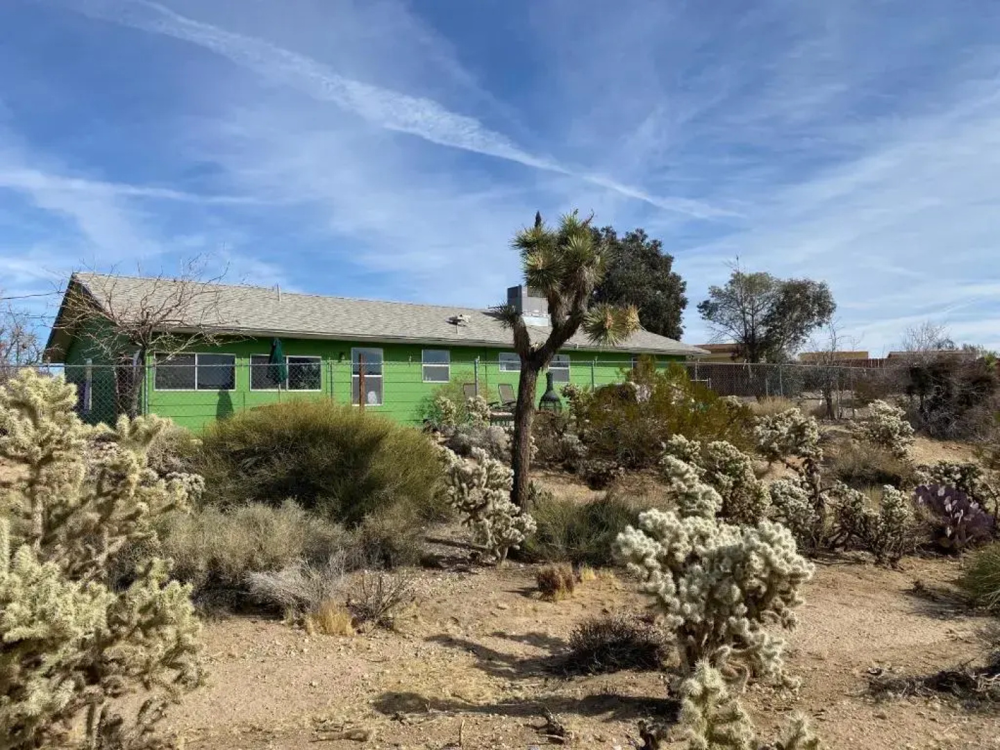 Desert Oasis - Joshua tree peaceful retreat Home