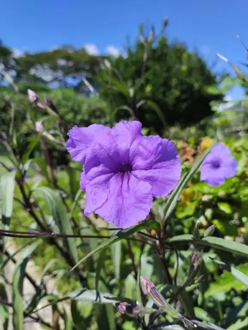 Suítes Aconchegantes em Miguel Pereira RJ!