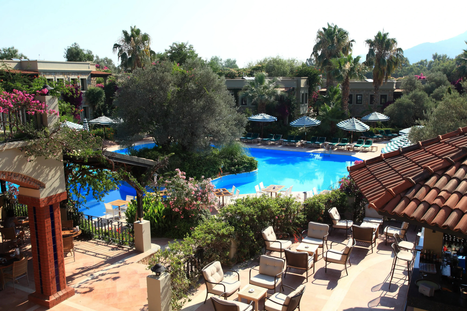 Отель Zeytinada