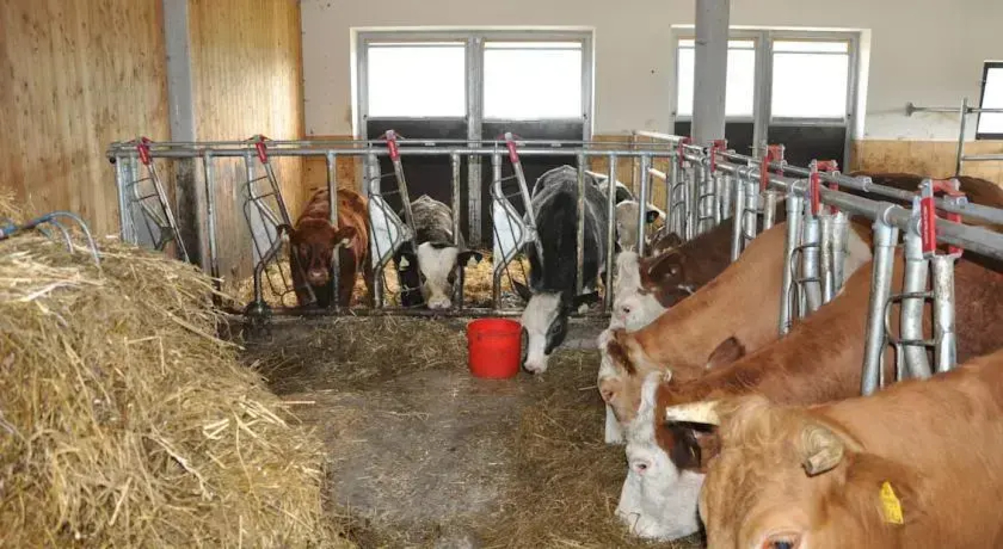 Ferienwohnungen Sauschneiderhof