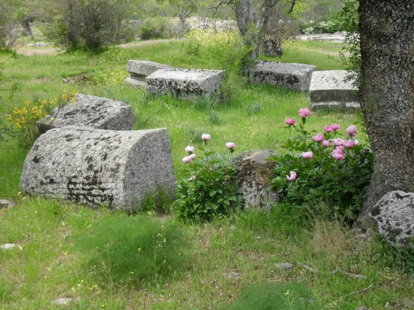 La Casa De La Abuela