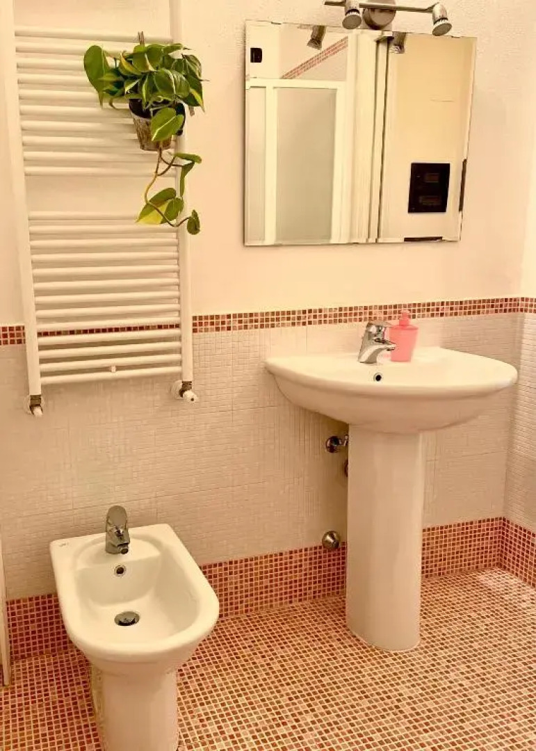 Wine & Lake In Franciacorta