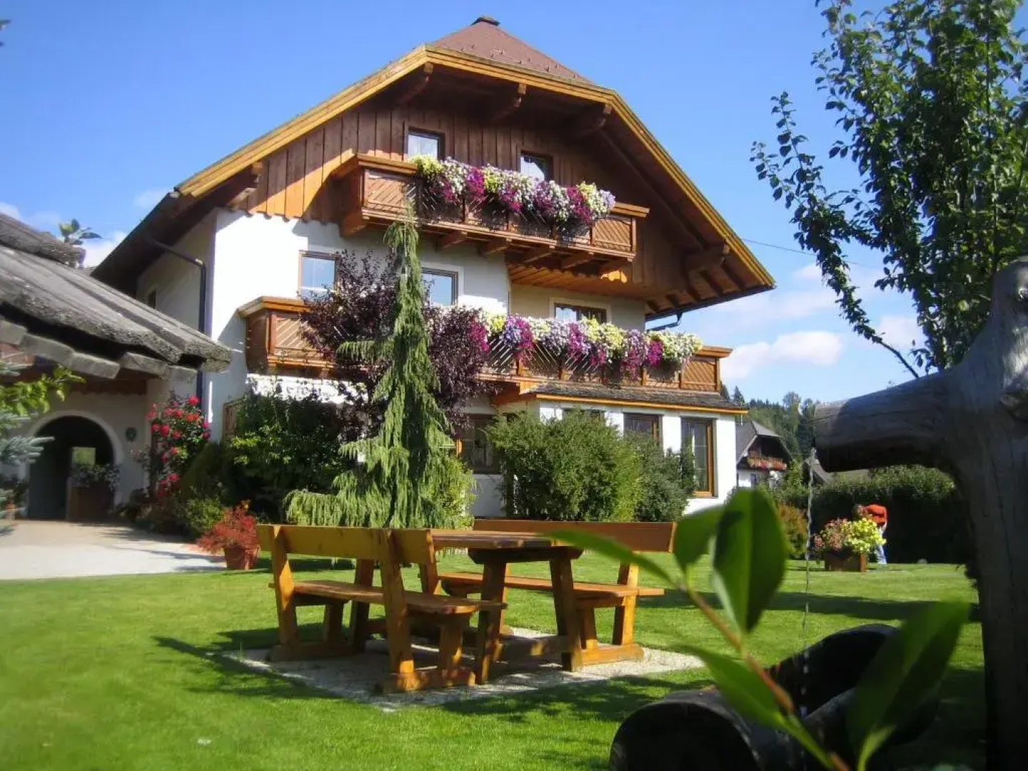 Schwalbennest