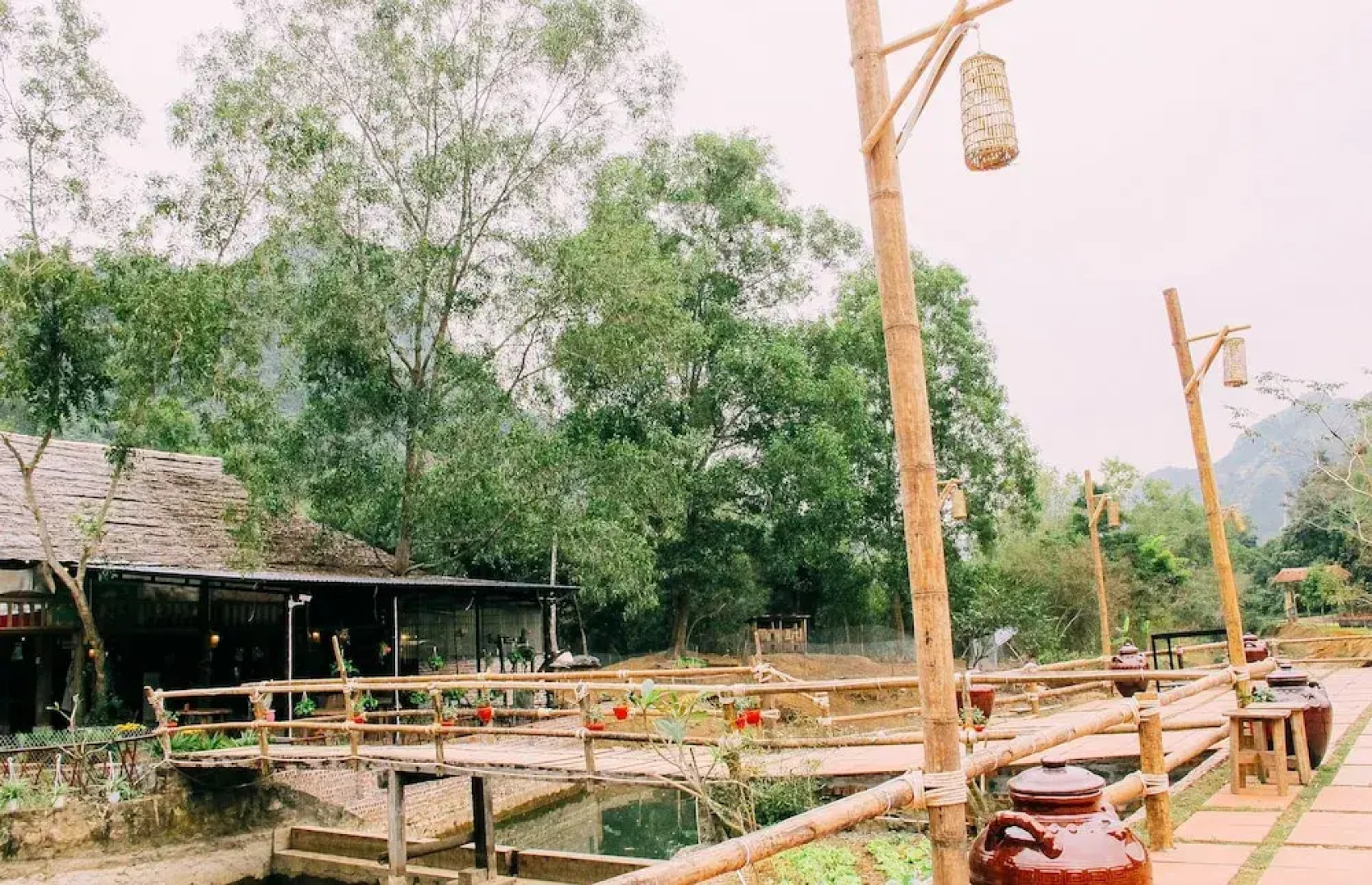 Hoi Lake Farmstay