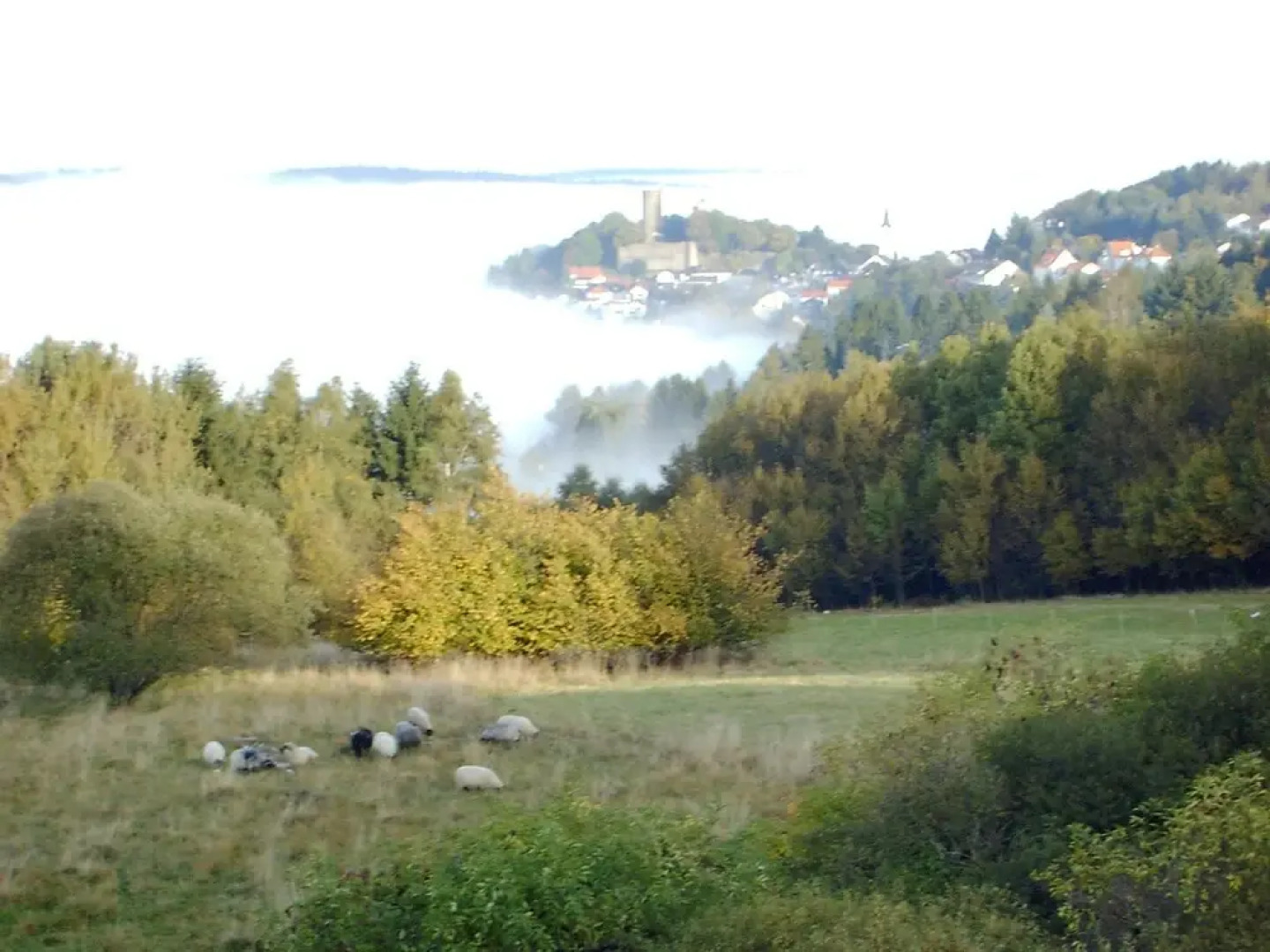 Naturpark Hotel Weilquelle