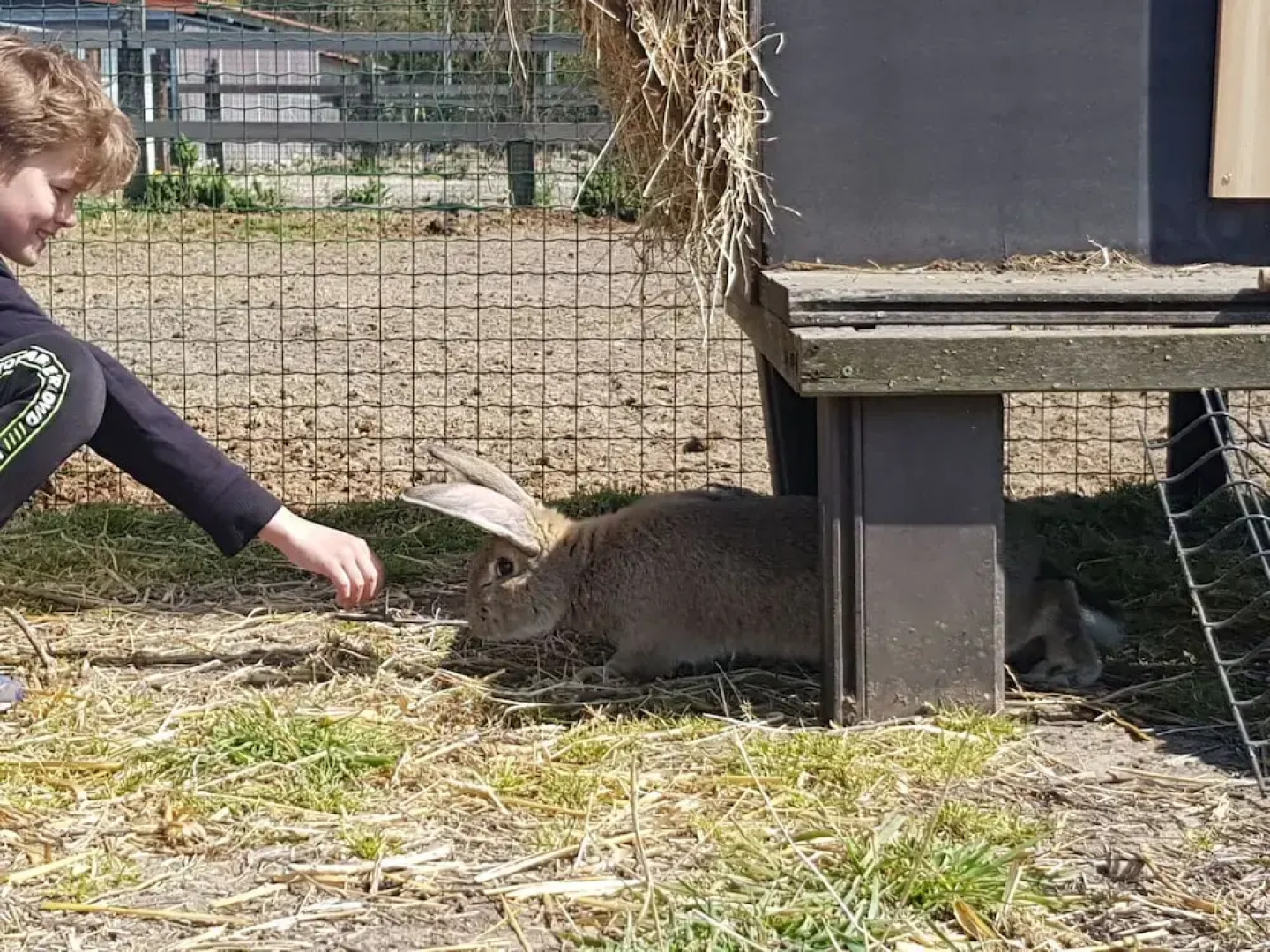 Charming Holiday Home in Peer with Garden