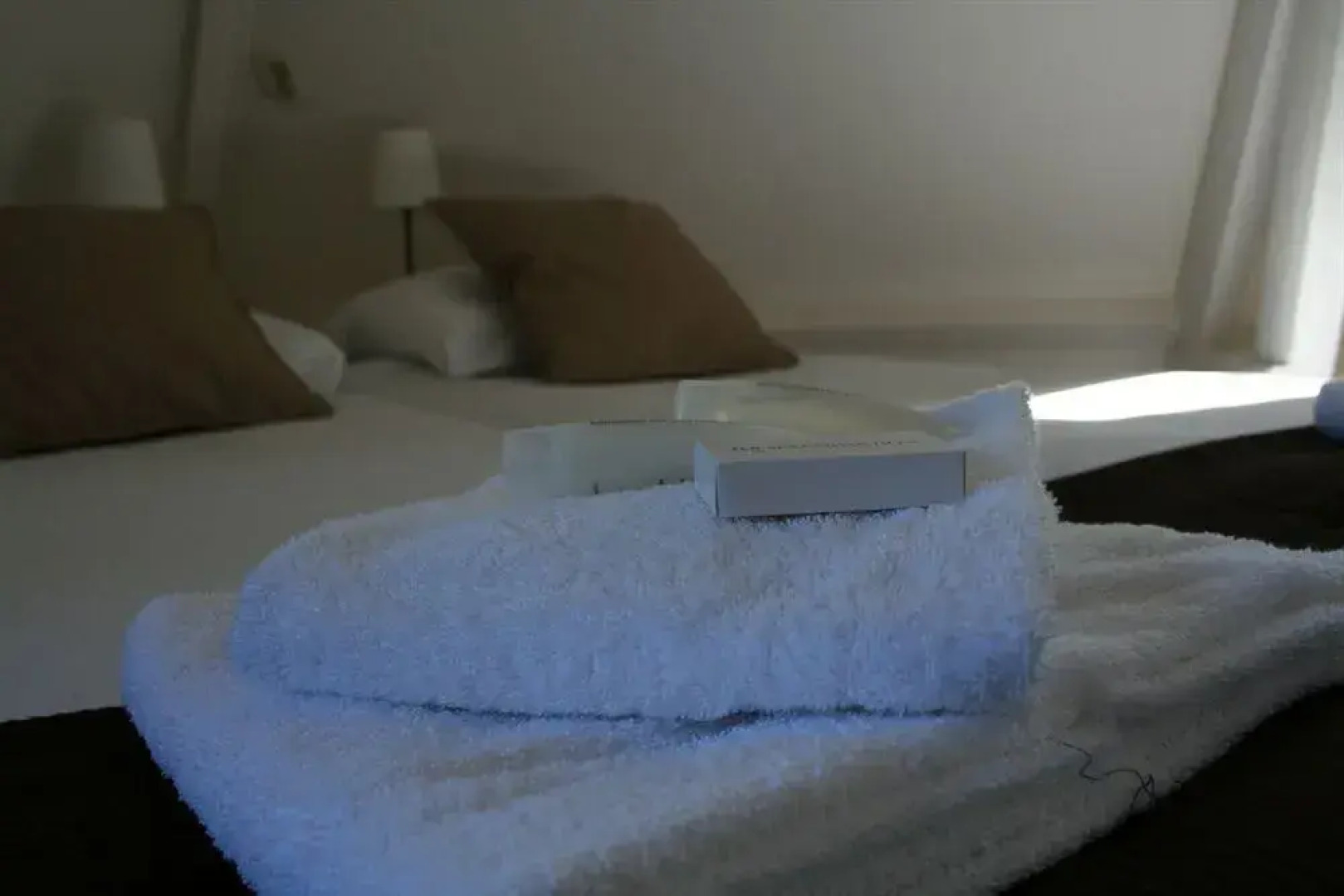 Hotel Villa Breeburg