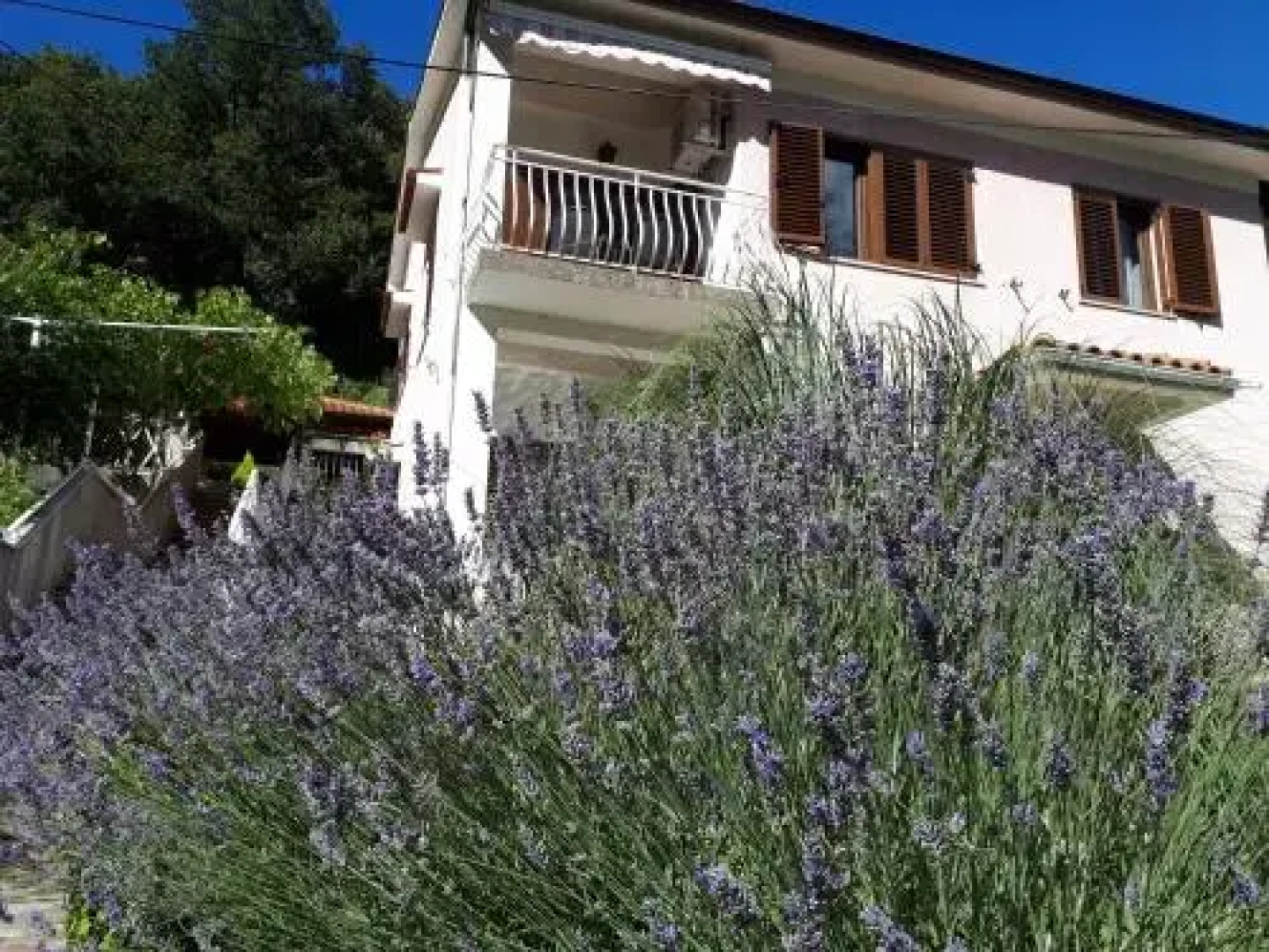 Apartment and B&B Mikleus