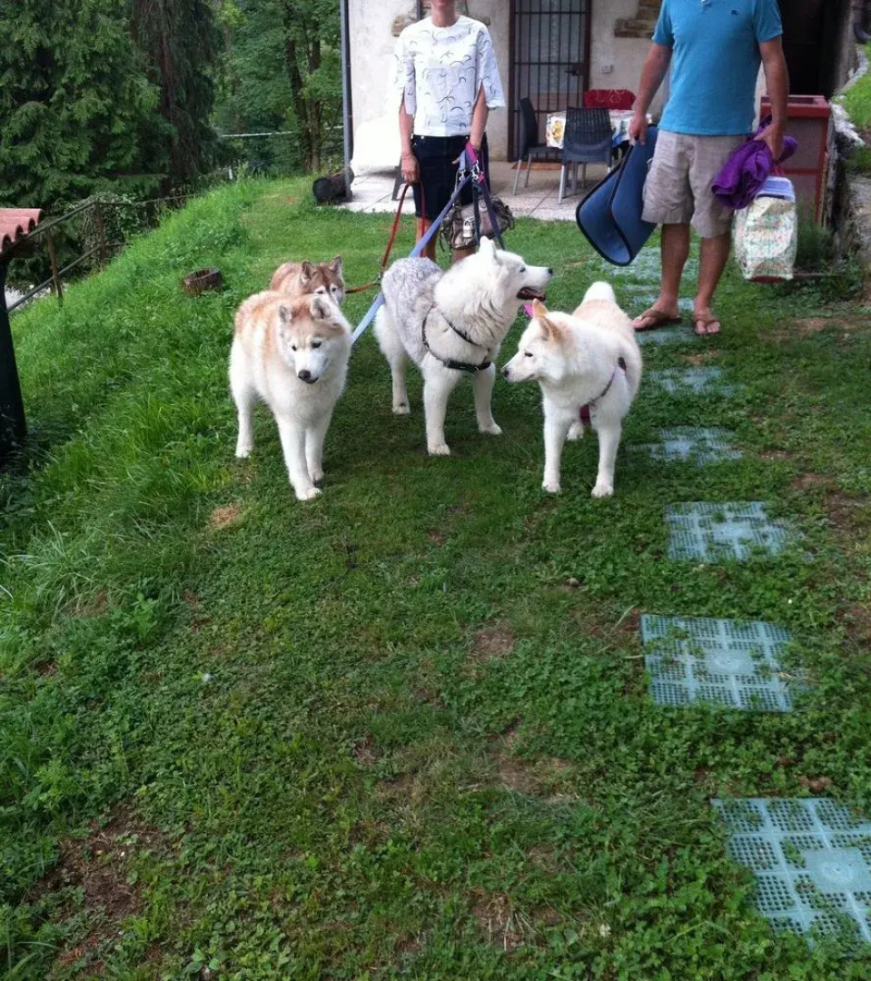 Taiobe - Happy Party House