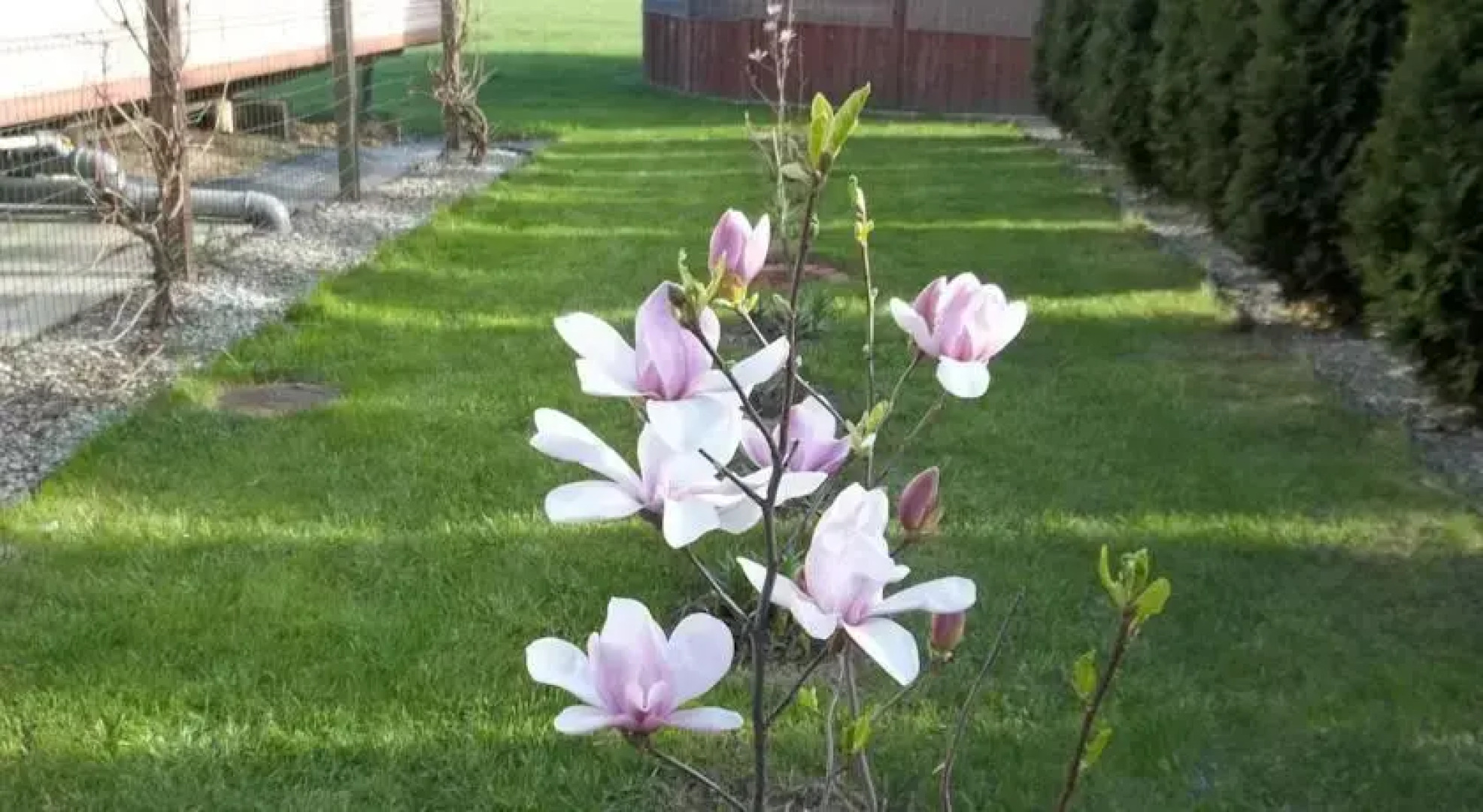 WiR Pokoje Gościnne