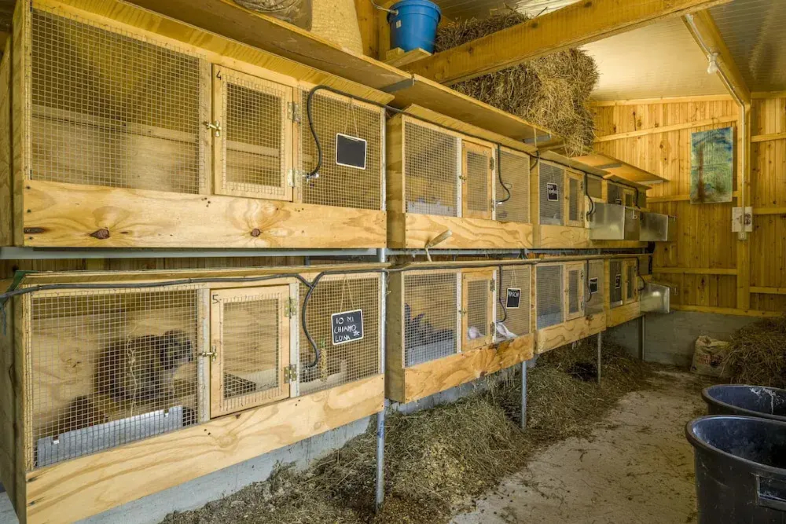 Casa Aurora in Genova