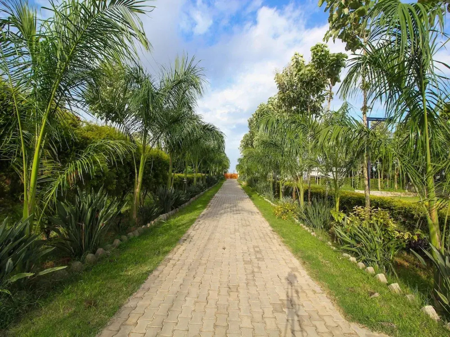 OYO 15708 Sharmada Hidden Nest