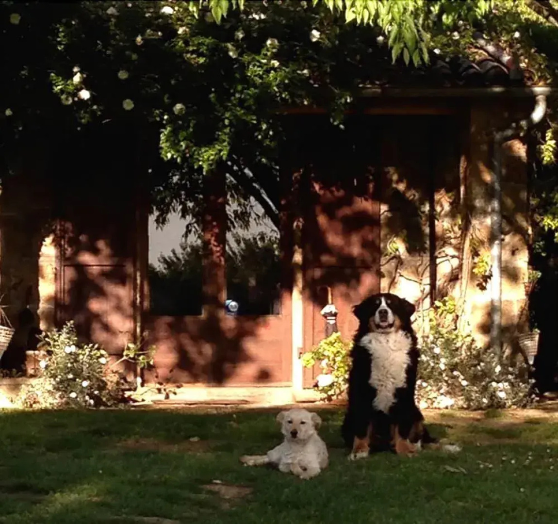 Bed and breakfast dopo il settimo cielo