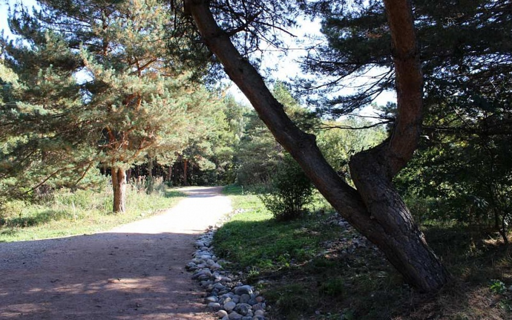 Вершина 1240***