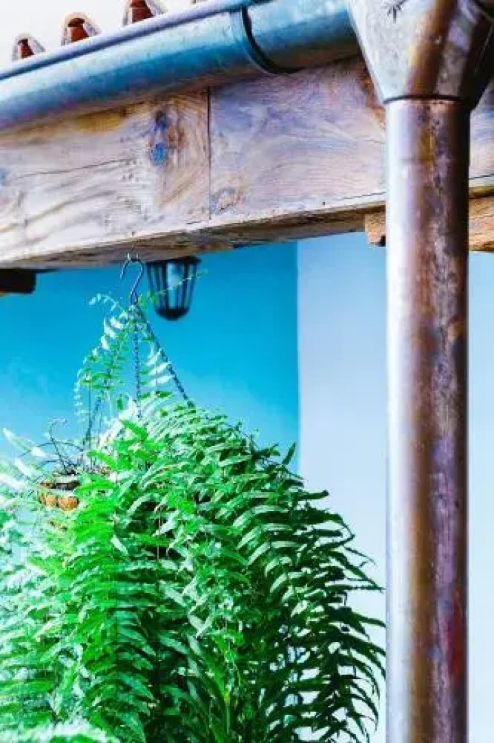 Suites & Apartments Calle Real