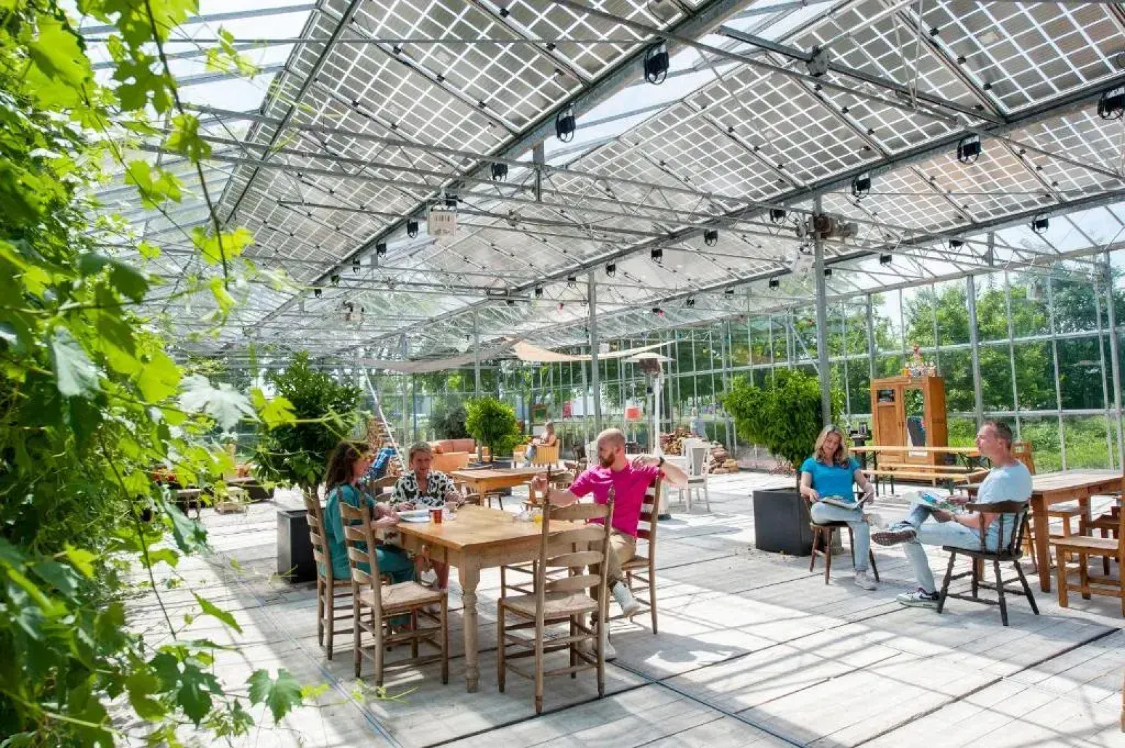 Achterhoeks Goed, Minicamping in Vragender