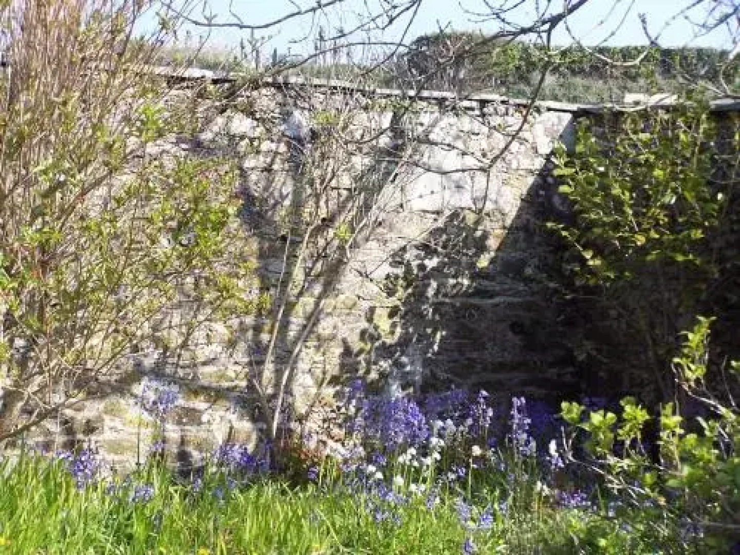 The Old Parsonage