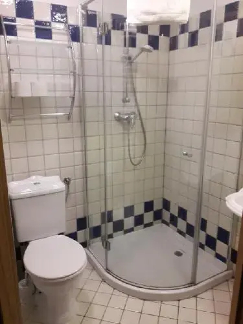 Pensjonat Alpejski Dwór