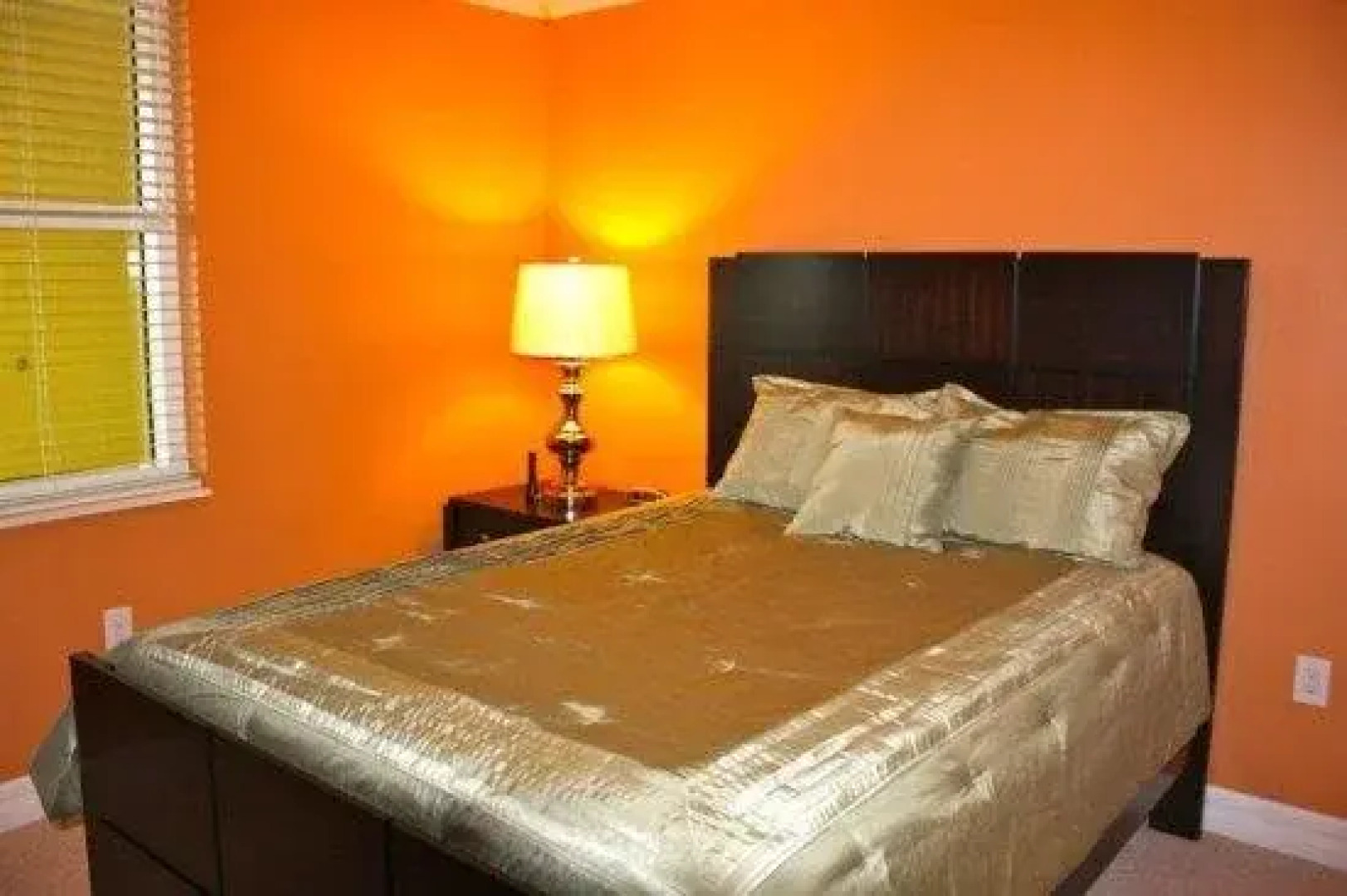 The Original Beachcomber Daily