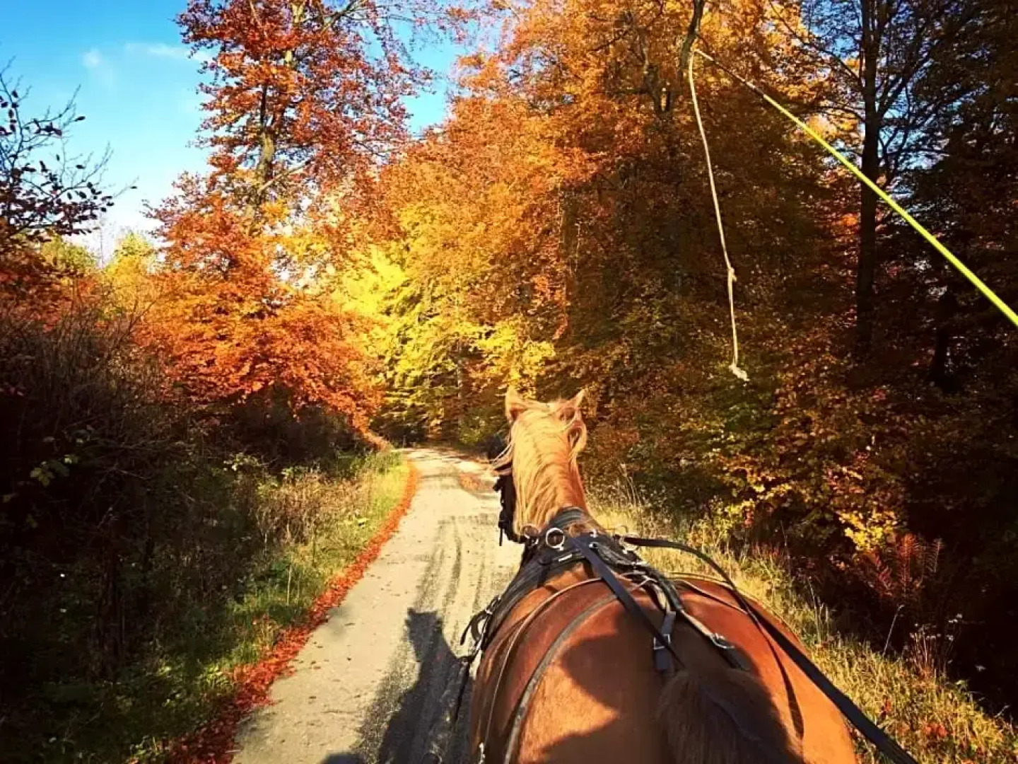Pegasus II - Chambre B&B de luxe avec sauna privatif