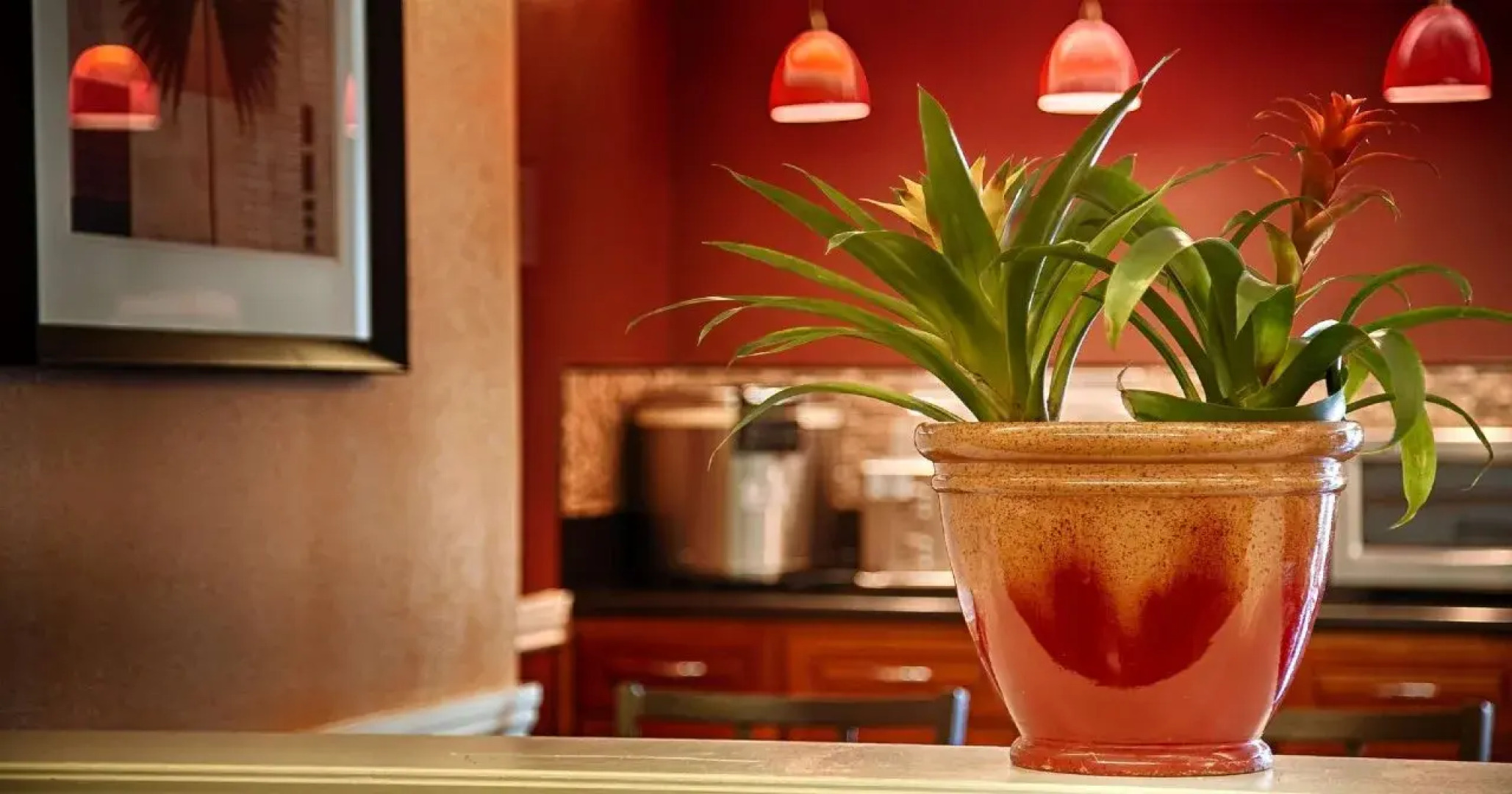 Best Western Plus Ontario Airport & Convention Center